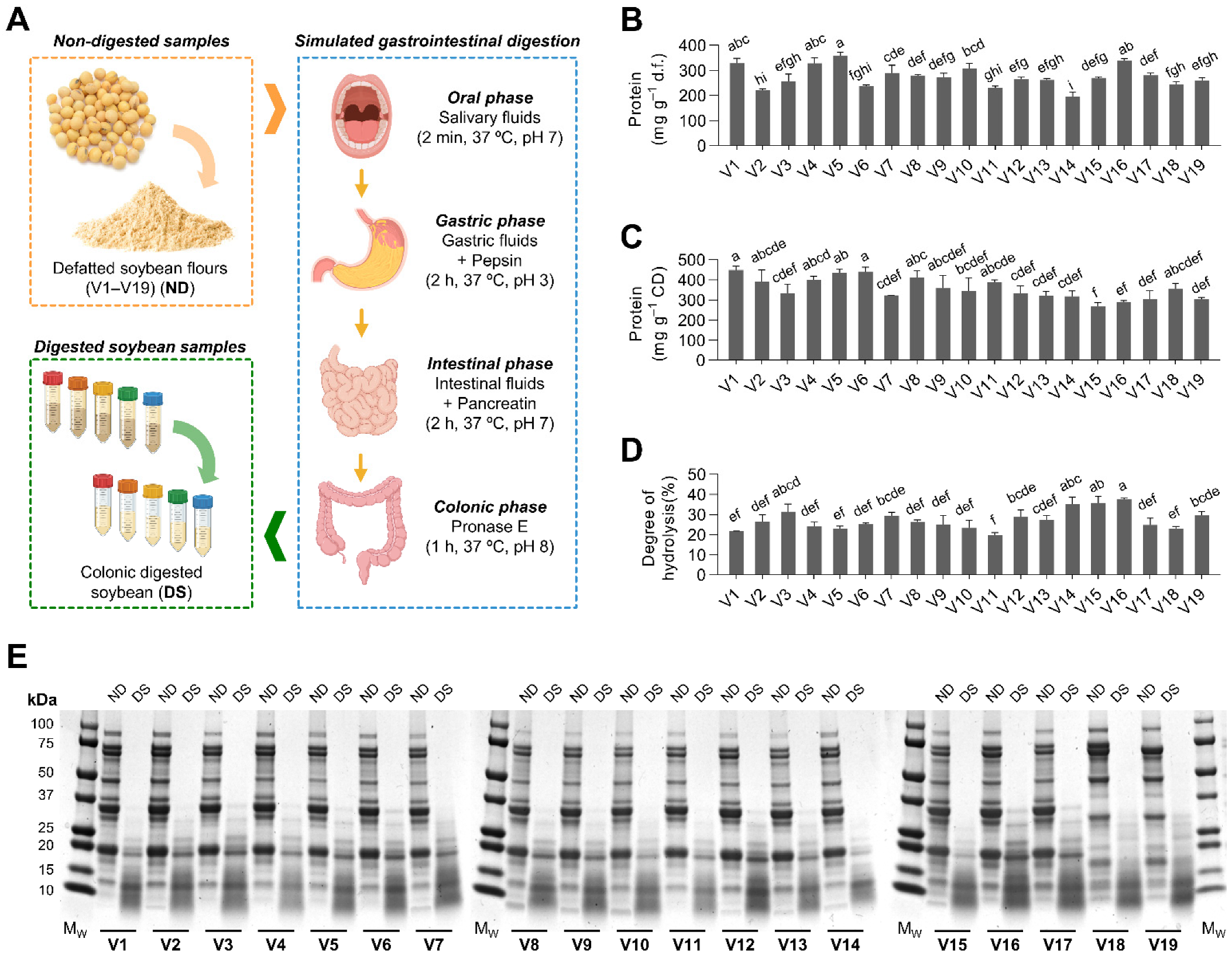Antioxidants 12 00020 g001