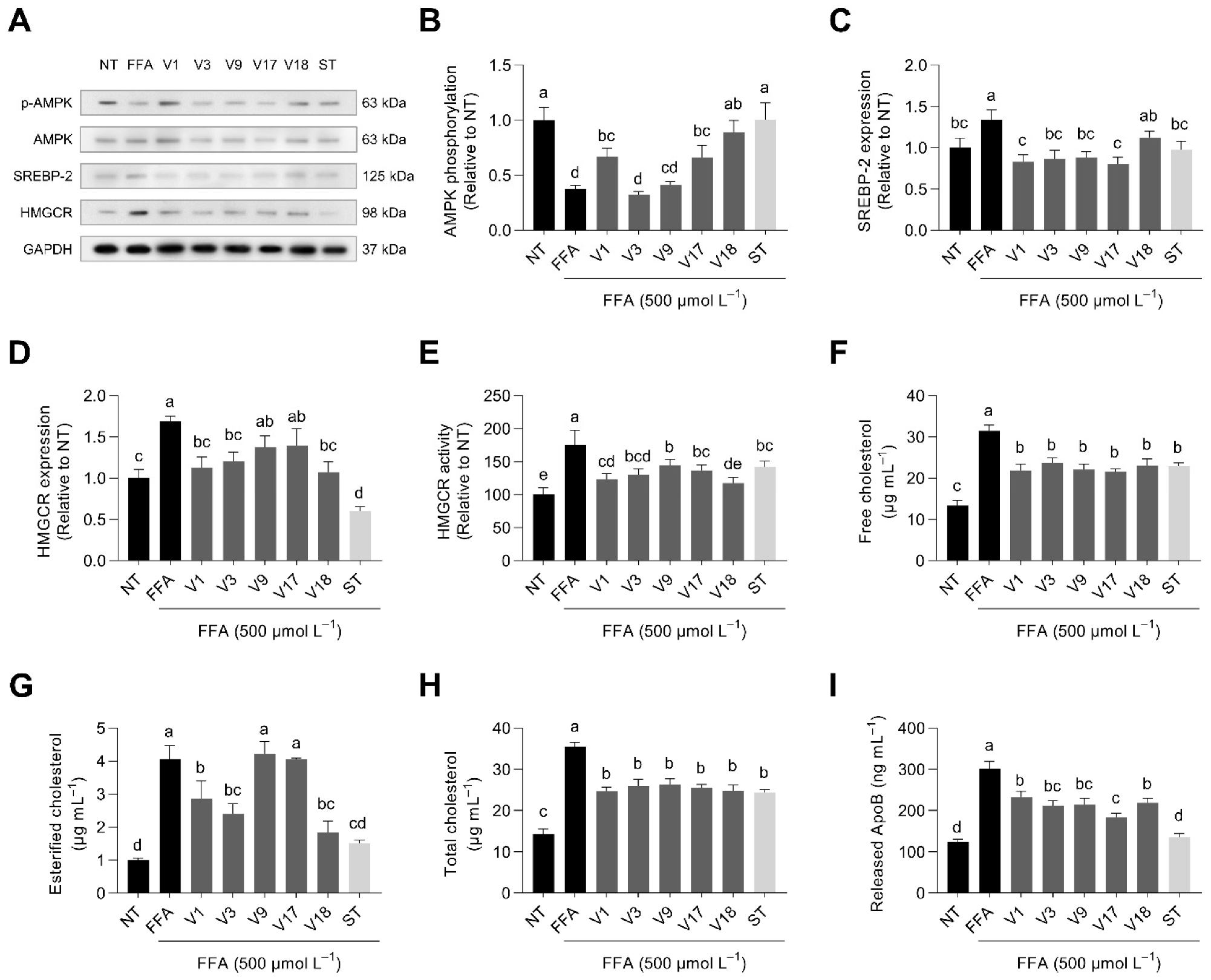 Antioxidants 12 00020 g006