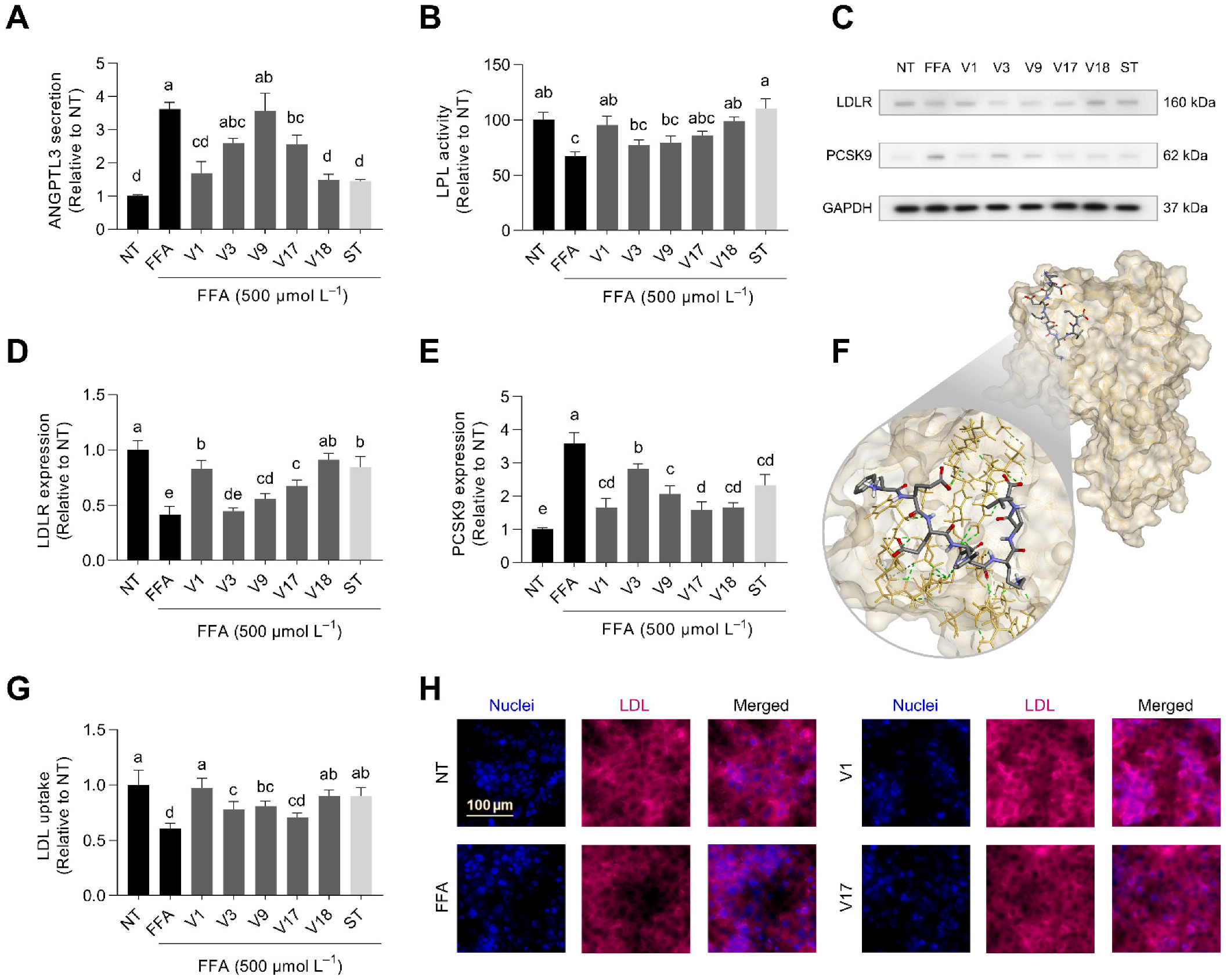 Antioxidants 12 00020 g008
