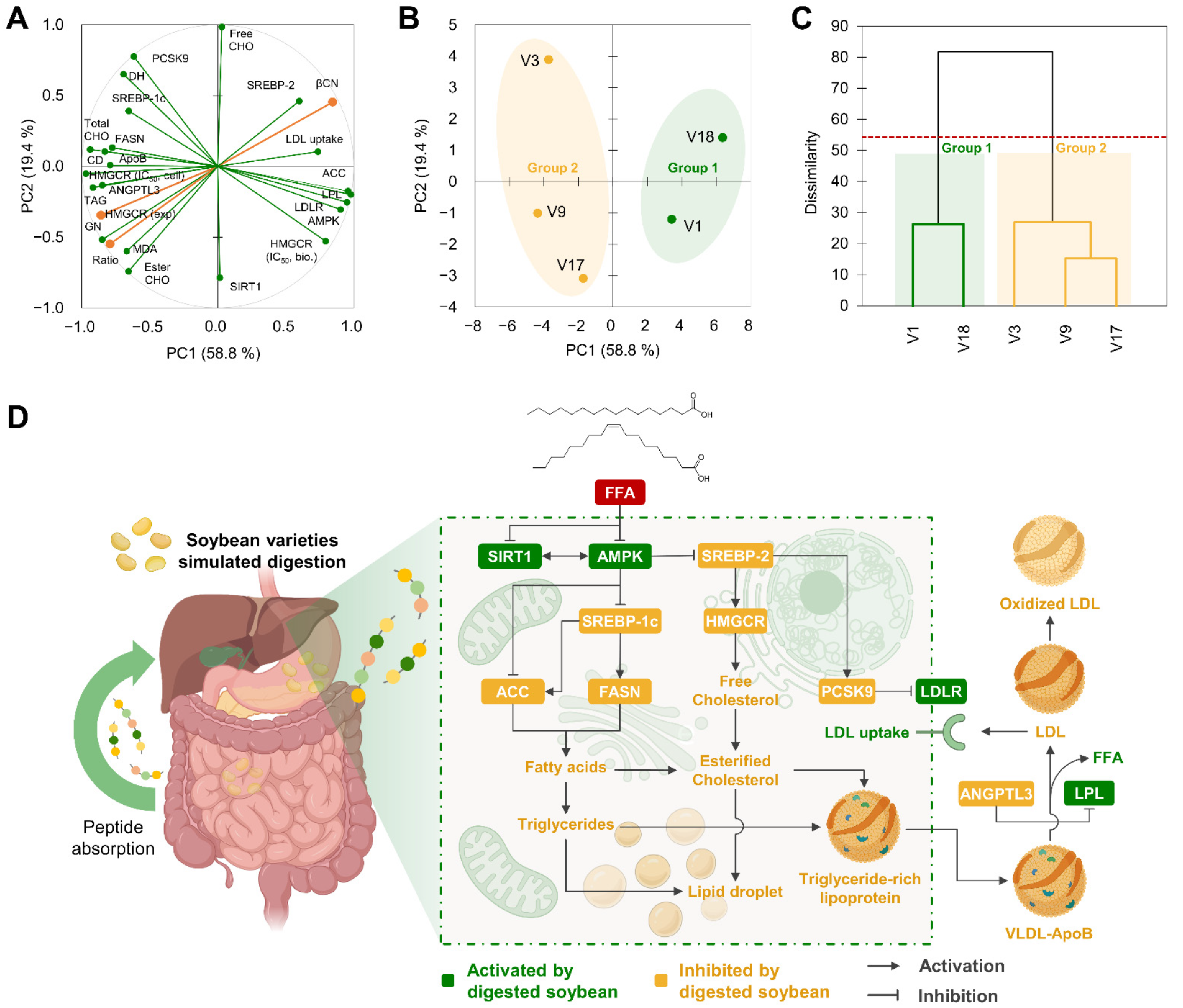 Antioxidants 12 00020 g010