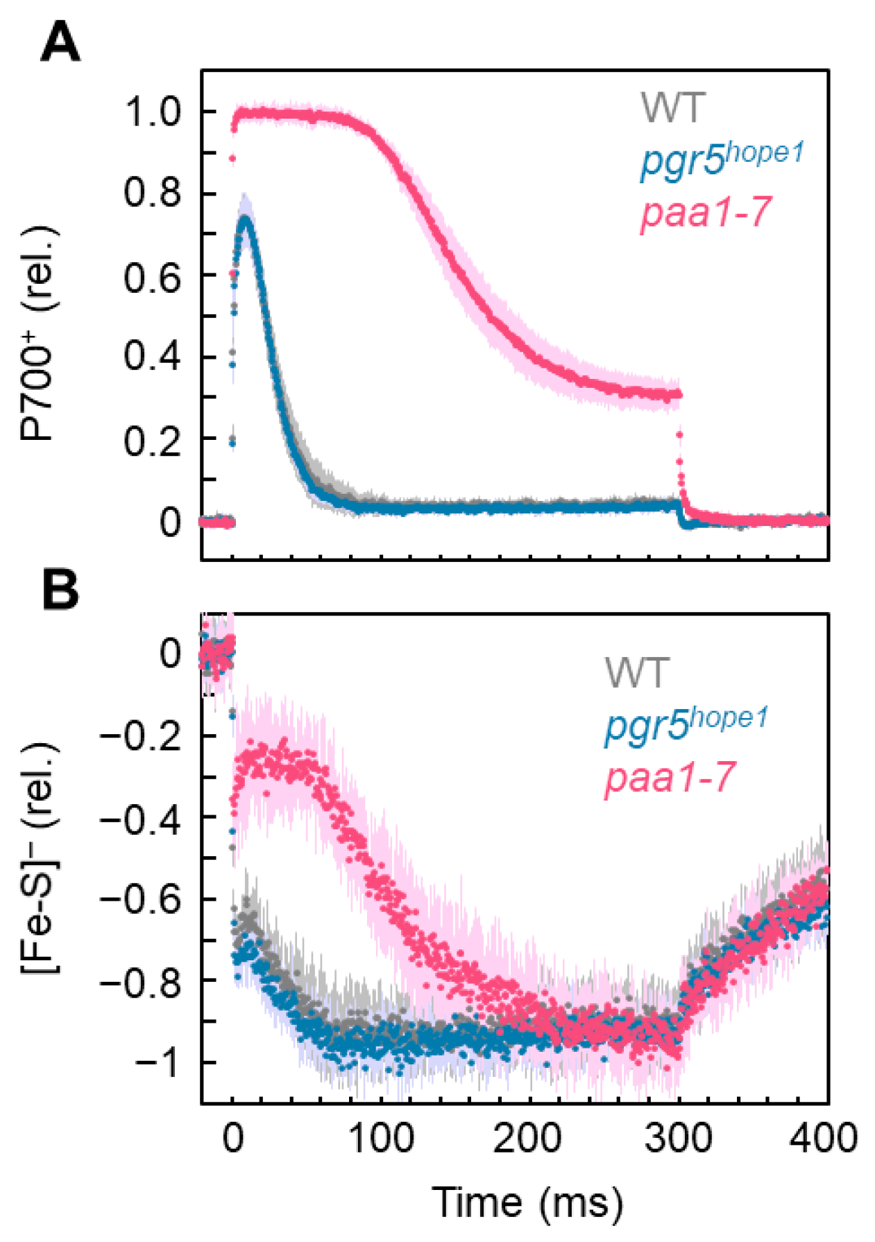 Antioxidants 12 00021 g001