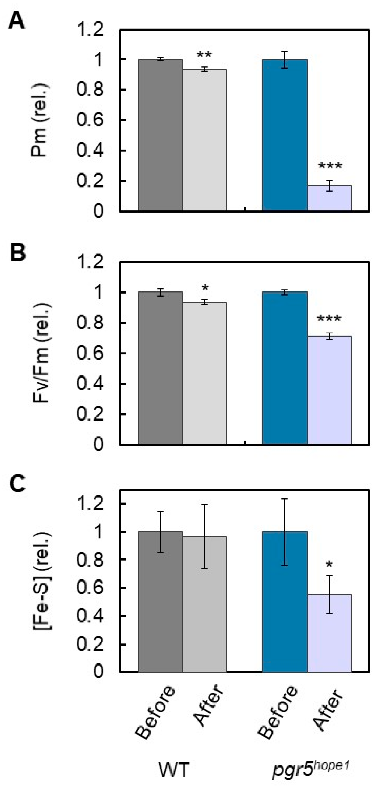 Antioxidants 12 00021 g005