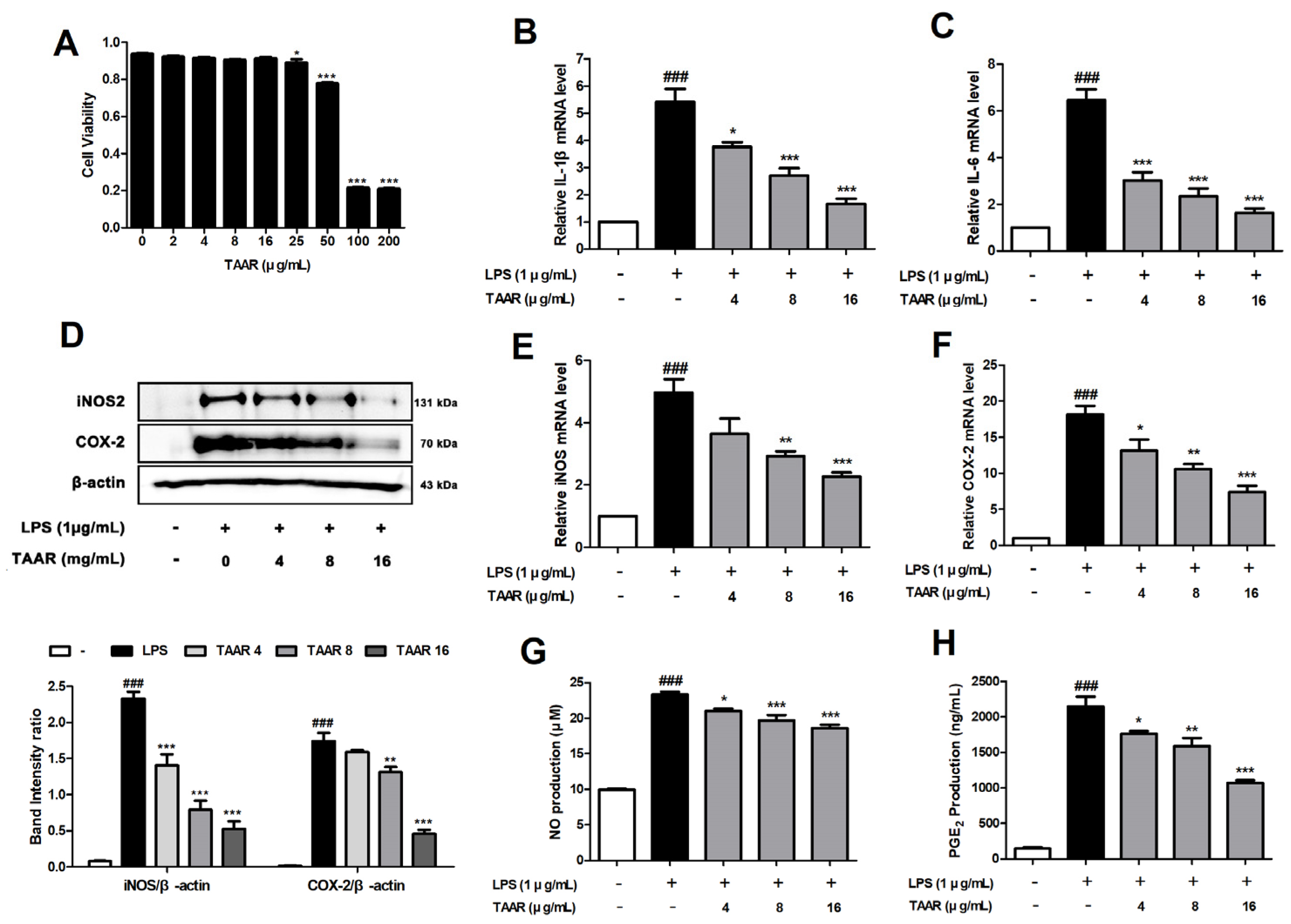 Antioxidants 12 00027 g002