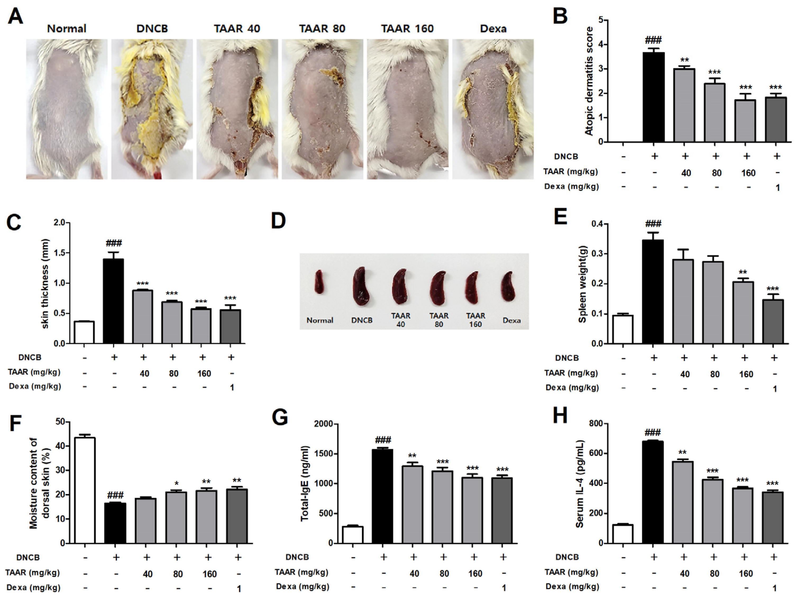 Antioxidants 12 00027 g006