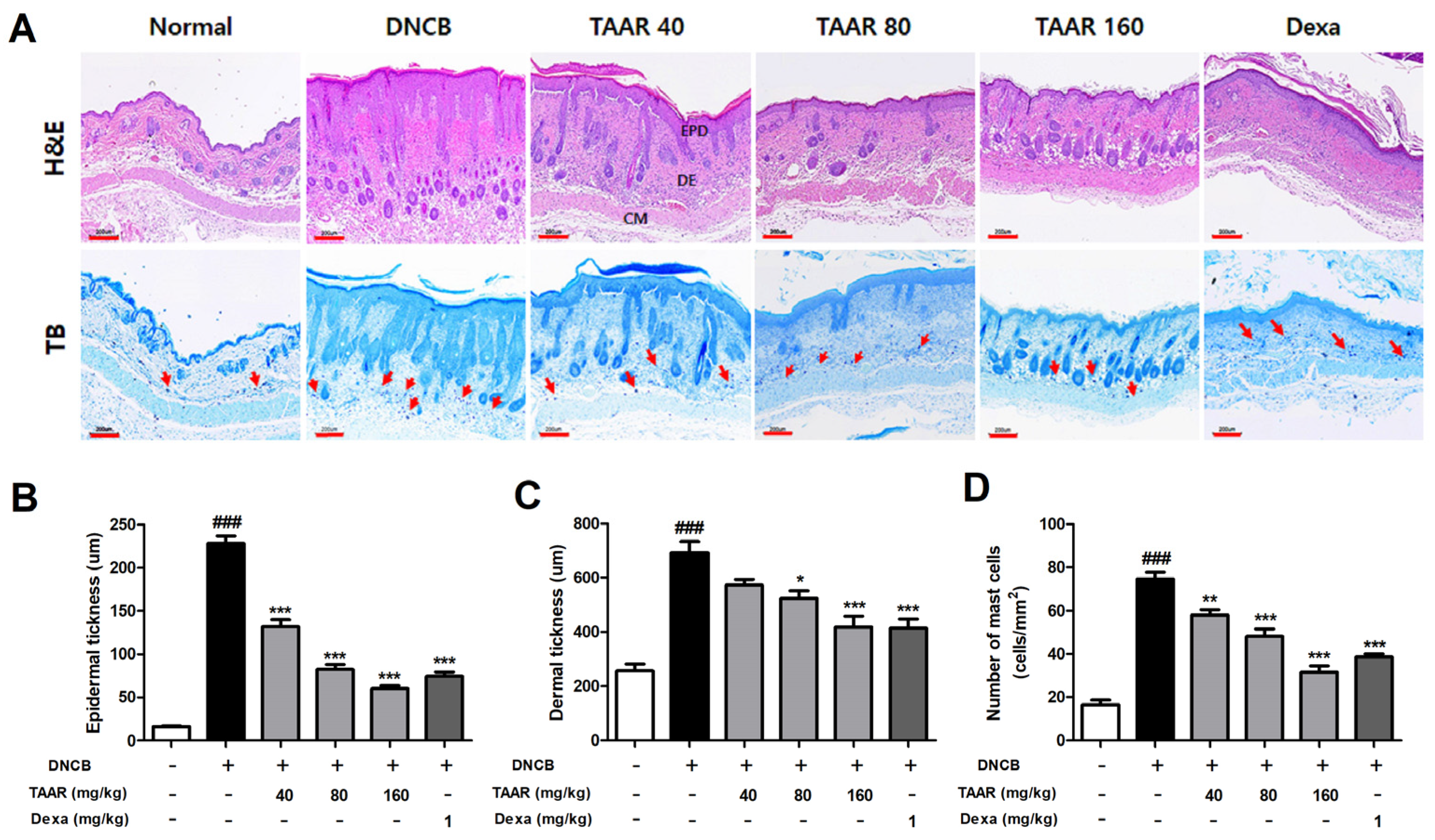Antioxidants 12 00027 g007