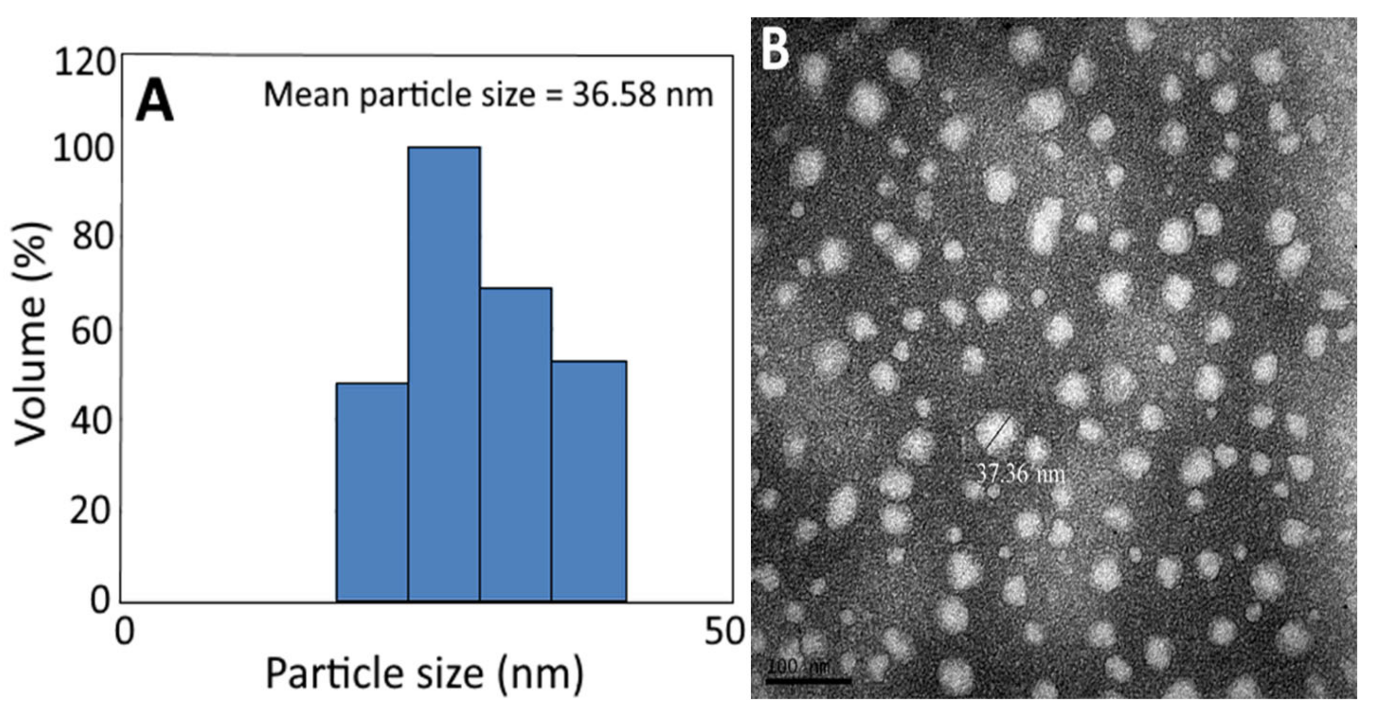 Antioxidants 12 00029 g003
