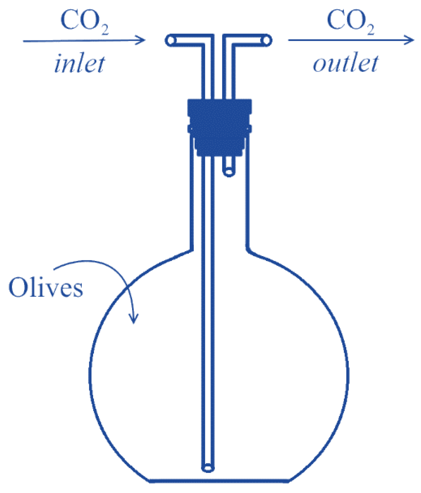 Antioxidants 12 00030 g001