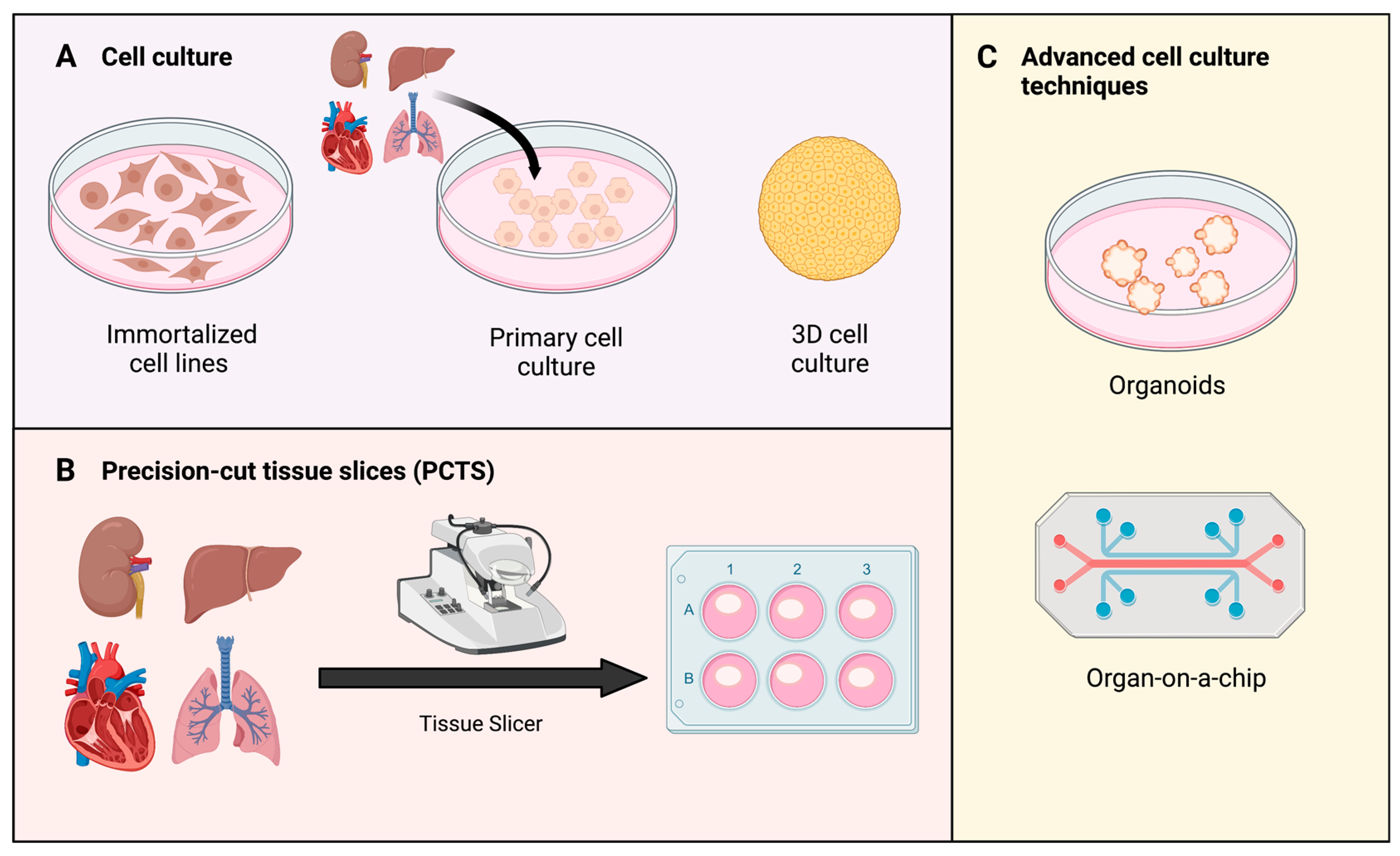 Antioxidants 12 00031 g003