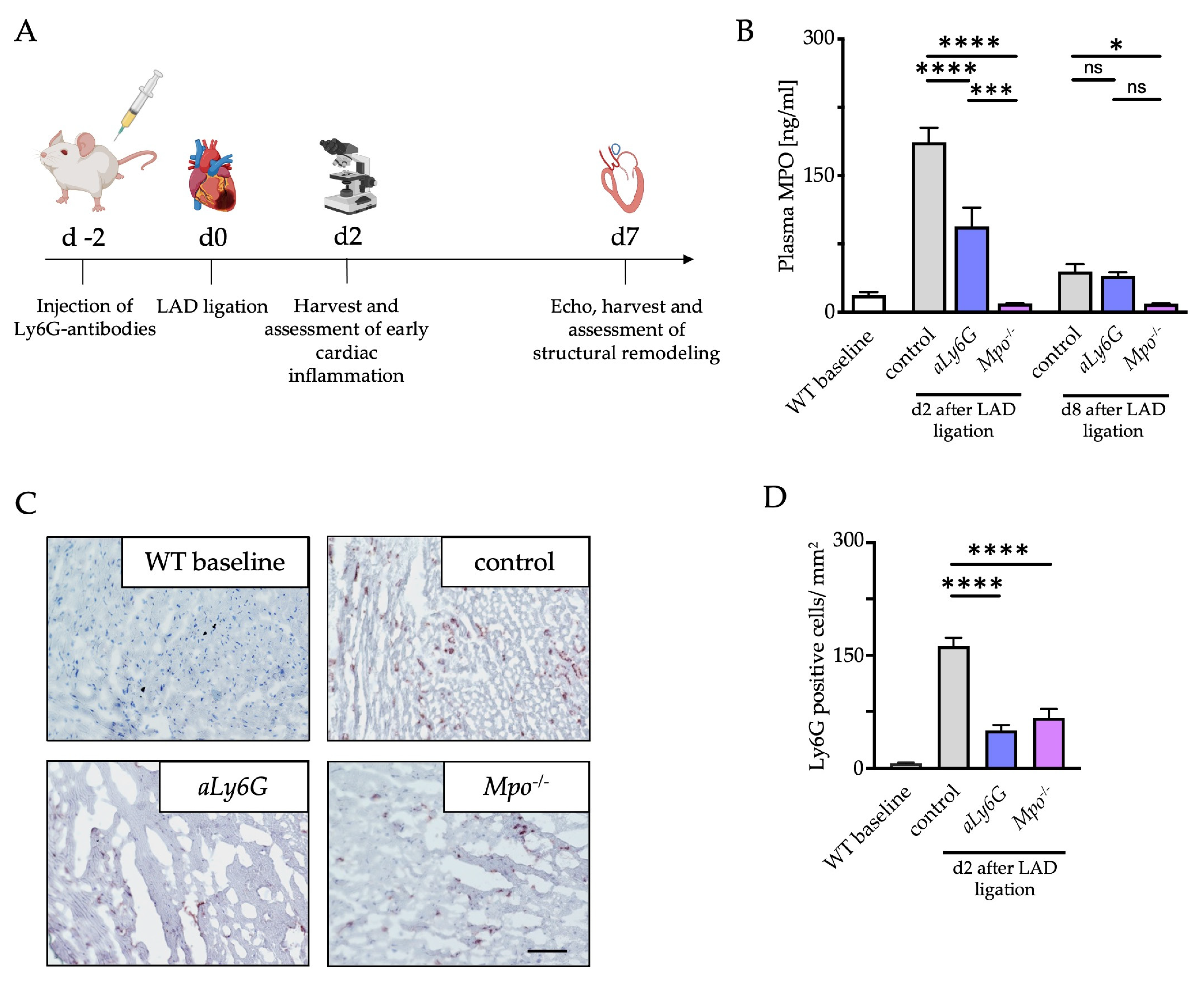 Antioxidants 12 00033 g001