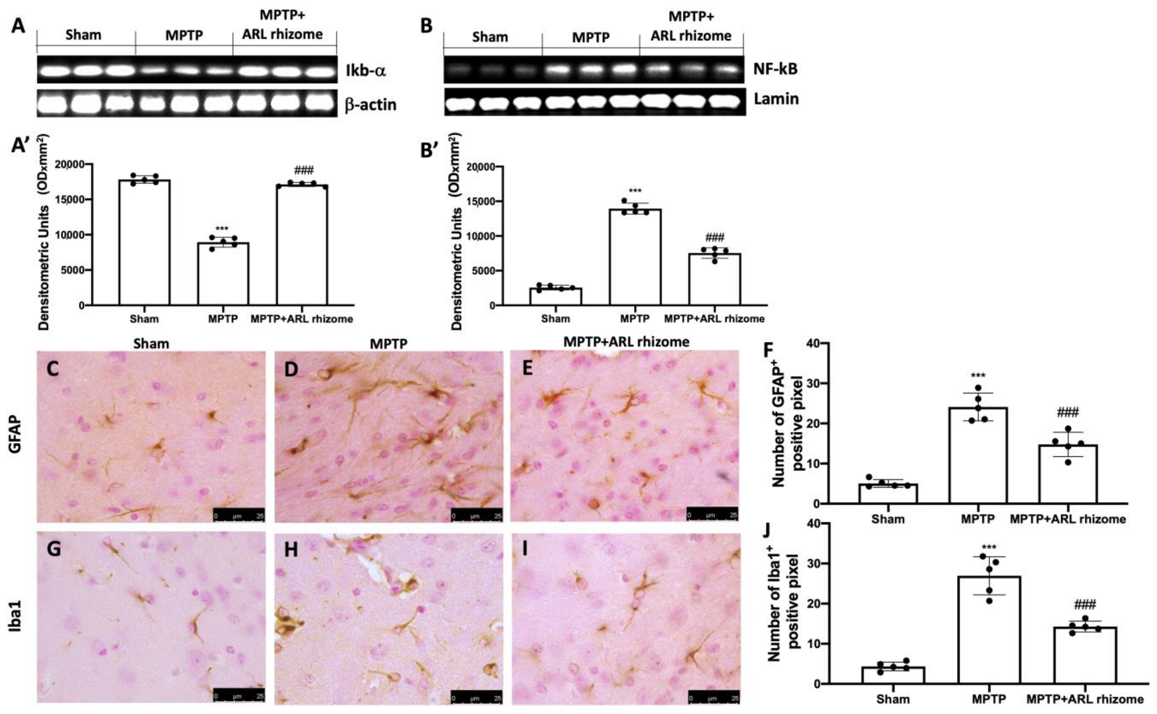 Antioxidants 12 00040 g002