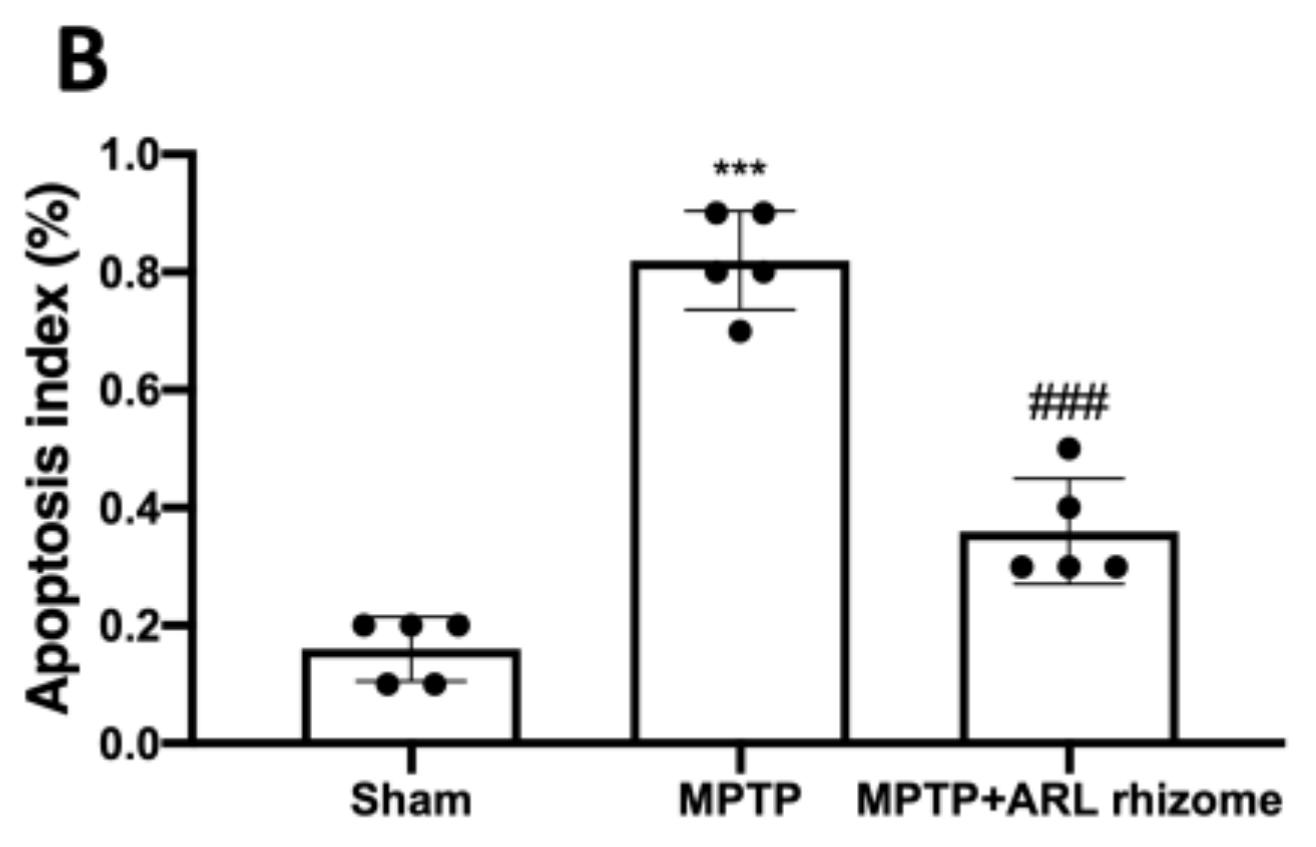 Antioxidants 12 00040 g004b