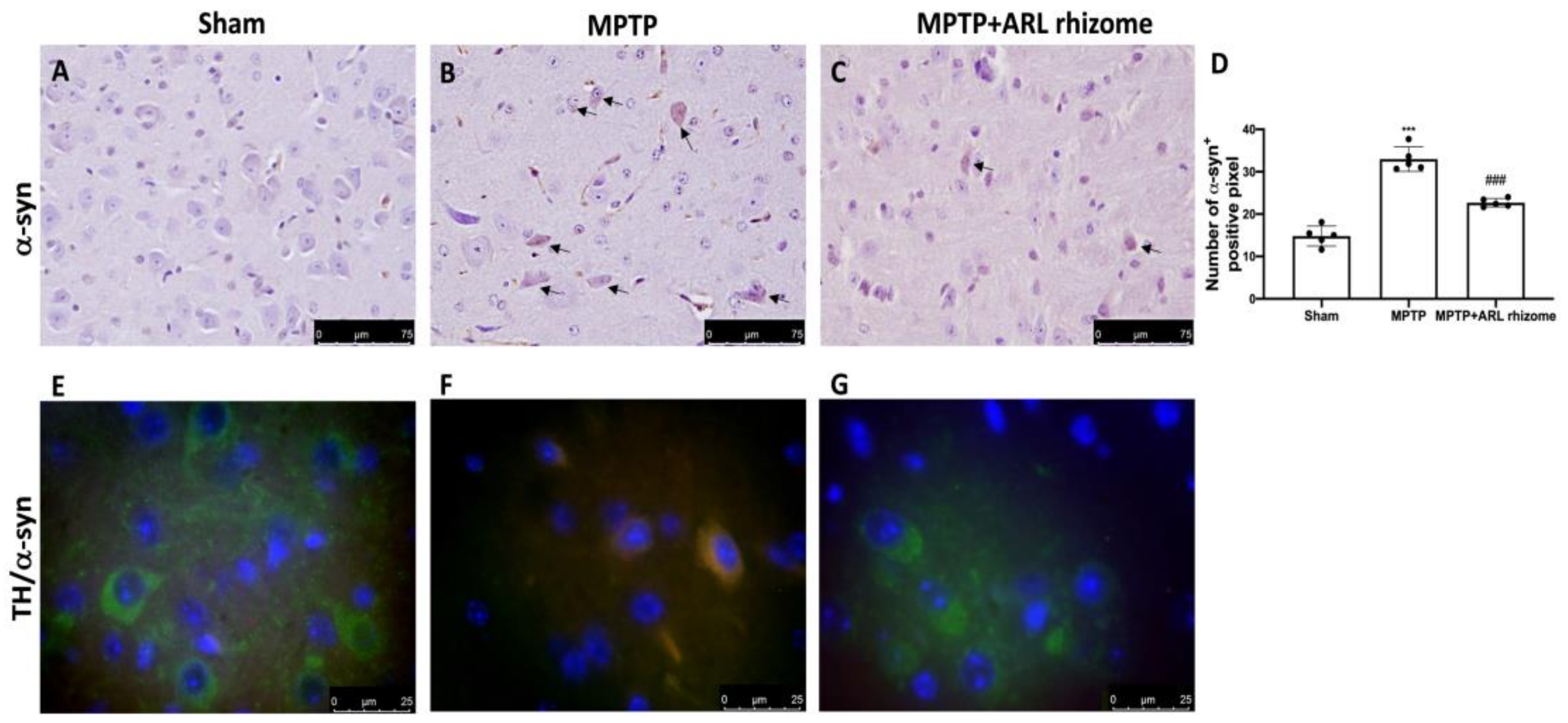 Antioxidants 12 00040 g006