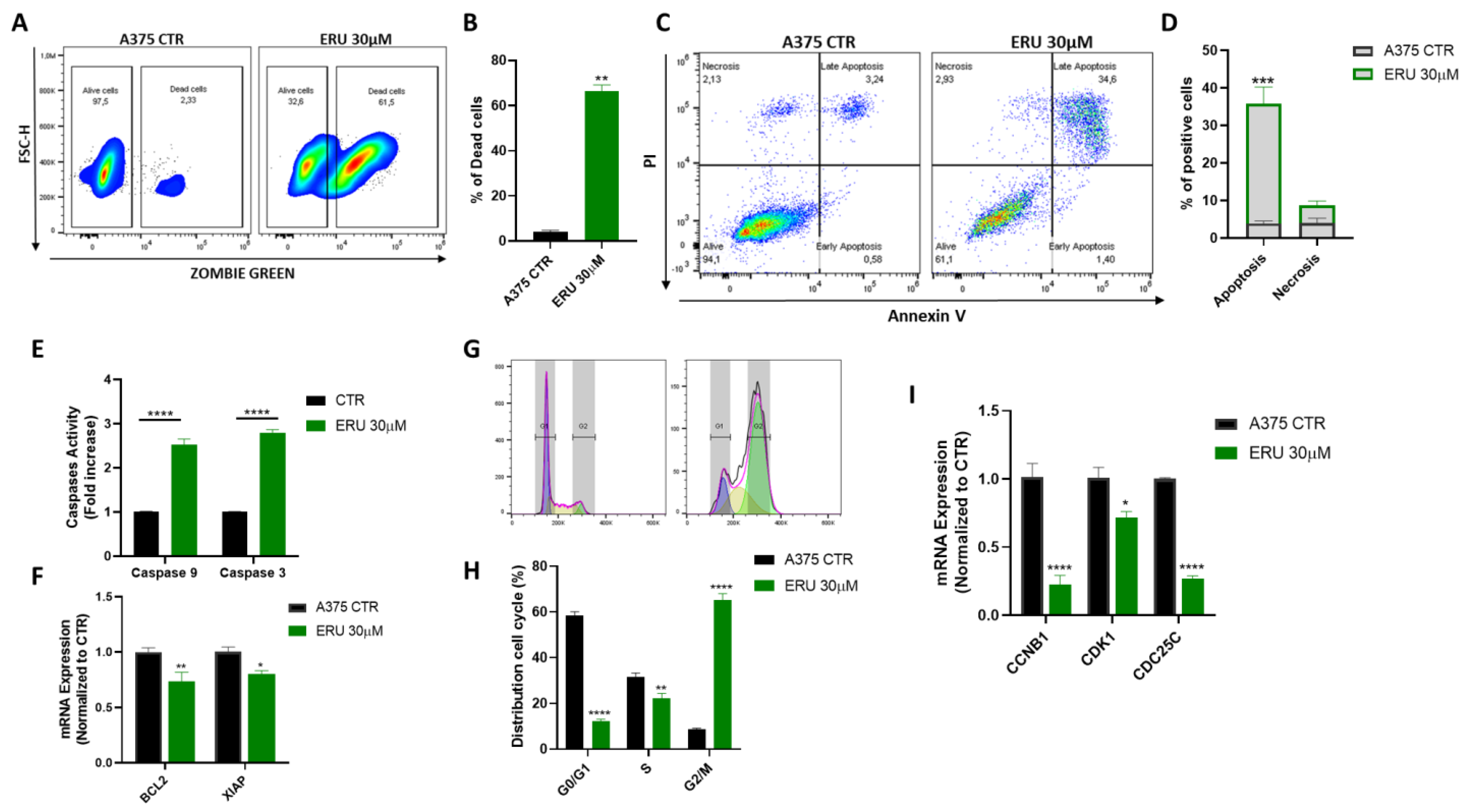 Antioxidants 12 00041 g002