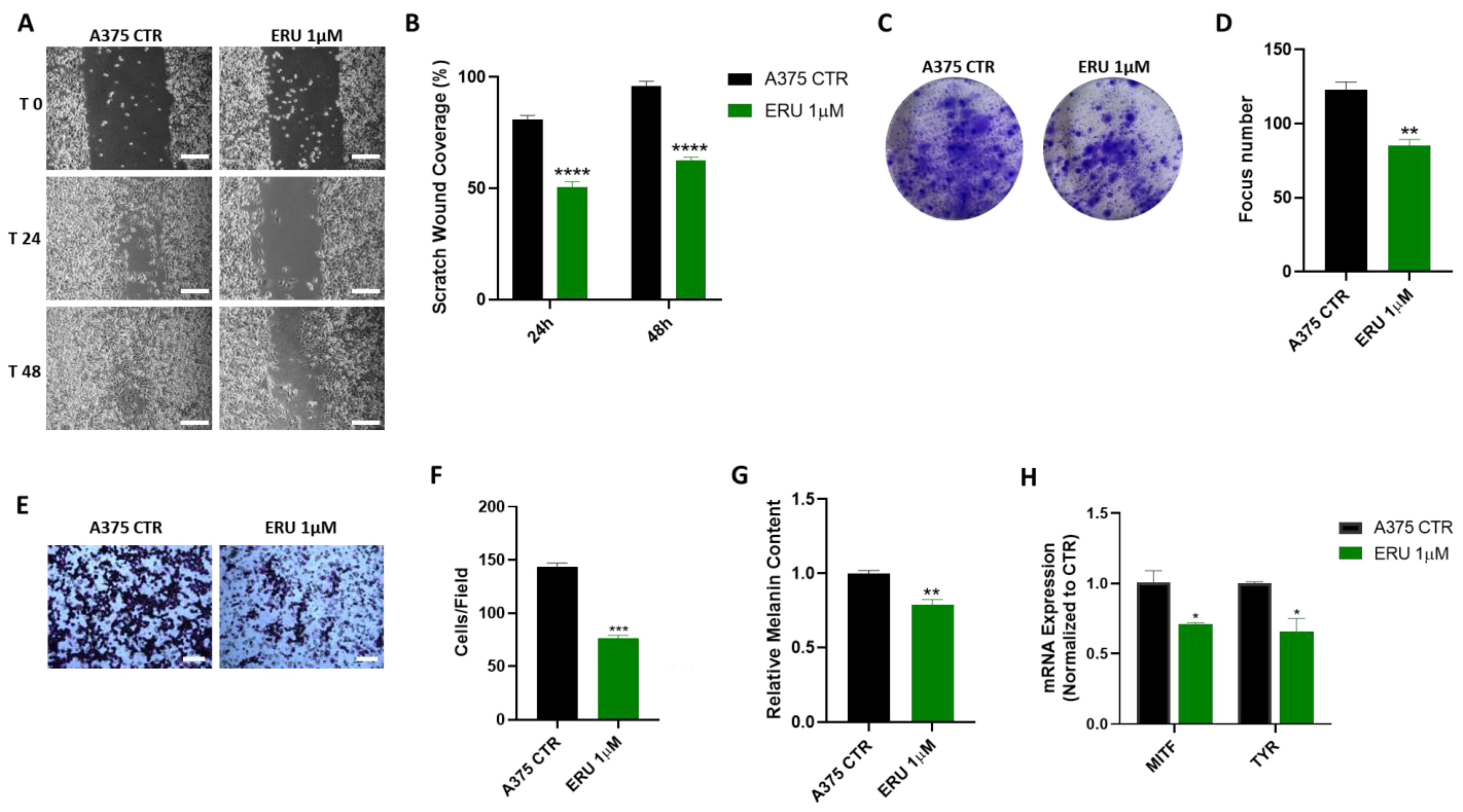 Antioxidants 12 00041 g004