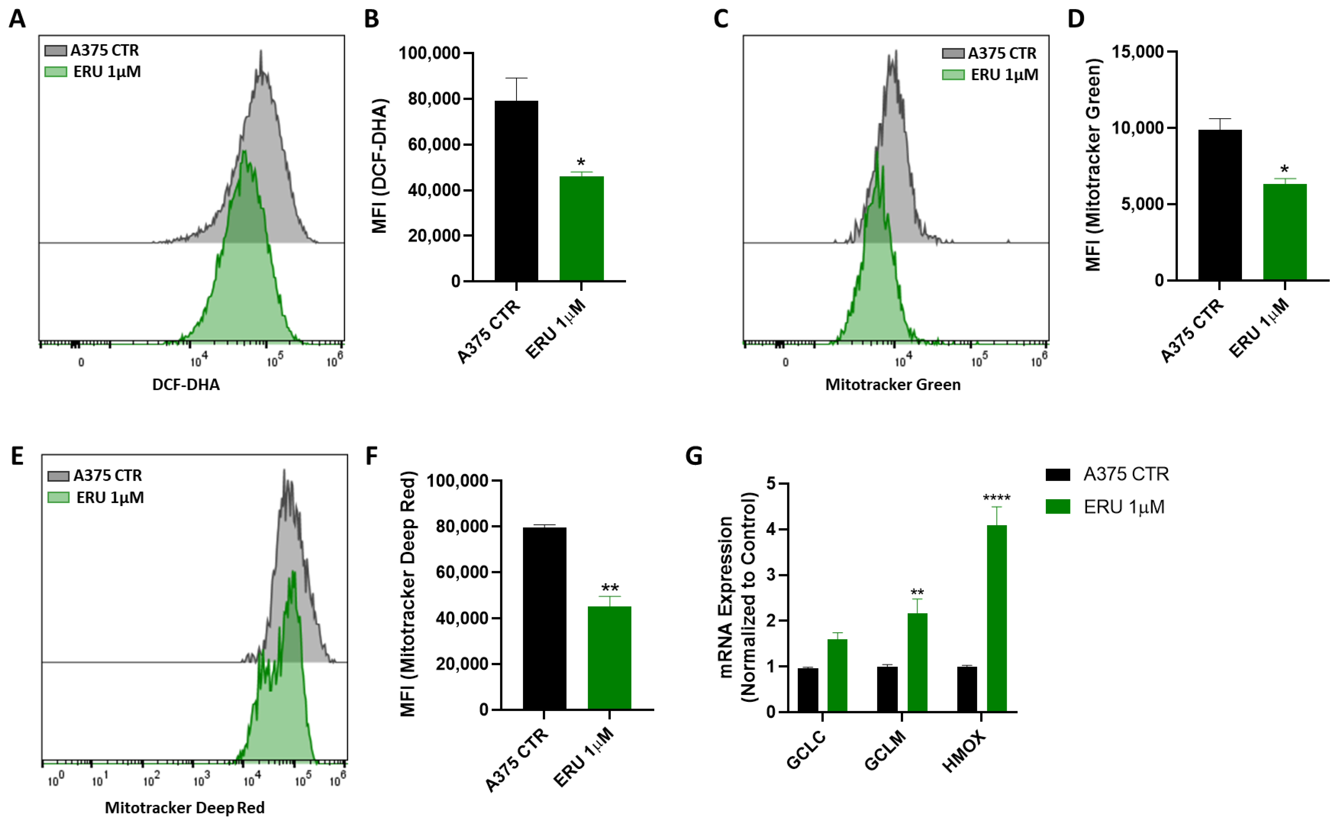 Antioxidants 12 00041 g005