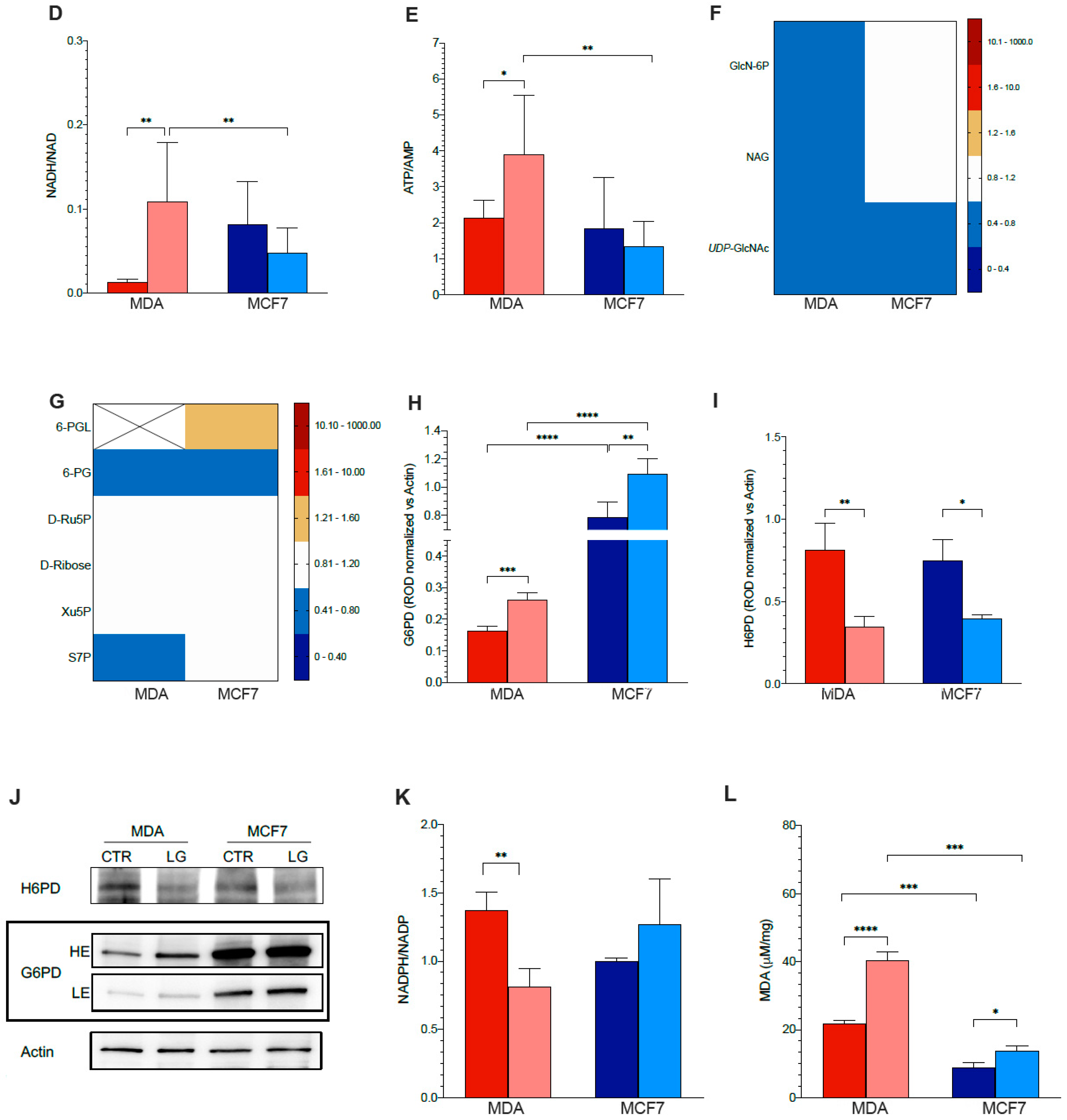 Antioxidants 12 00043 g002b