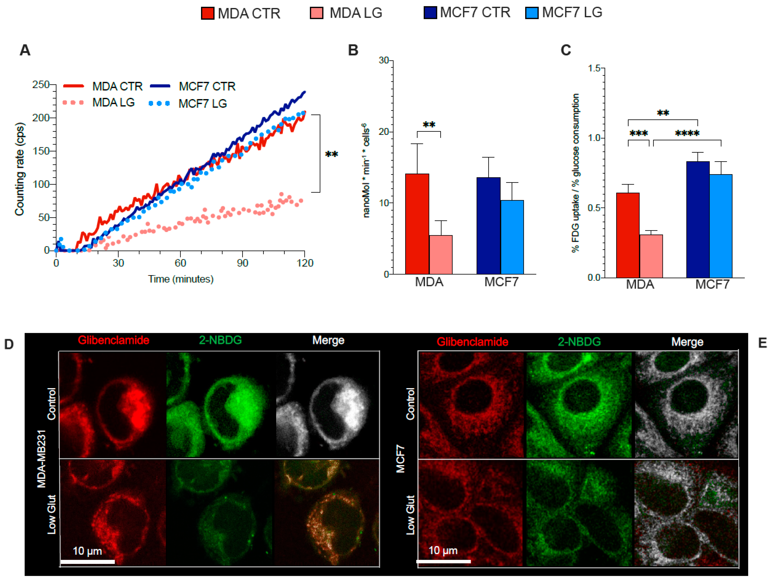 Antioxidants 12 00043 g003a