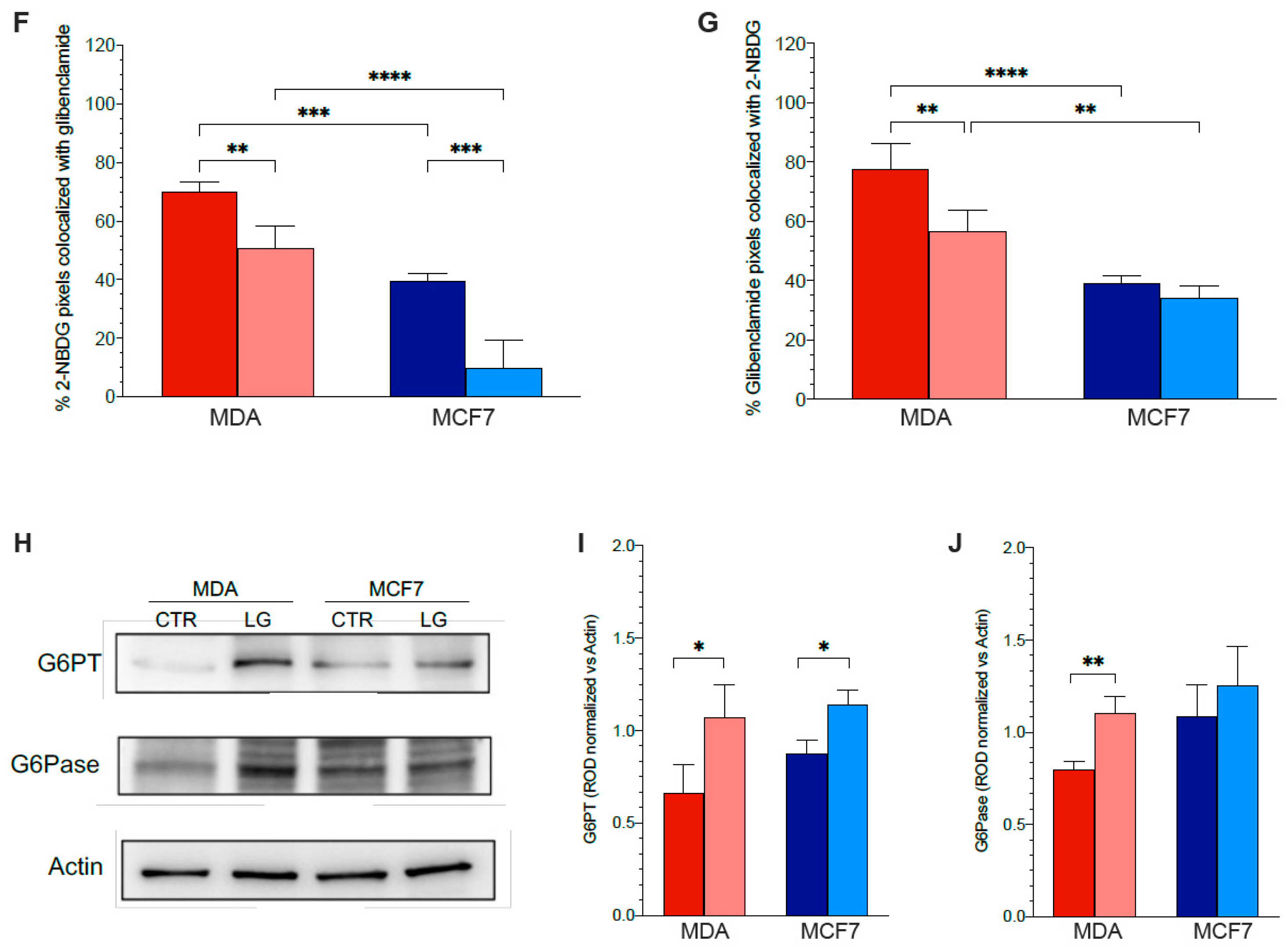 Antioxidants 12 00043 g003b