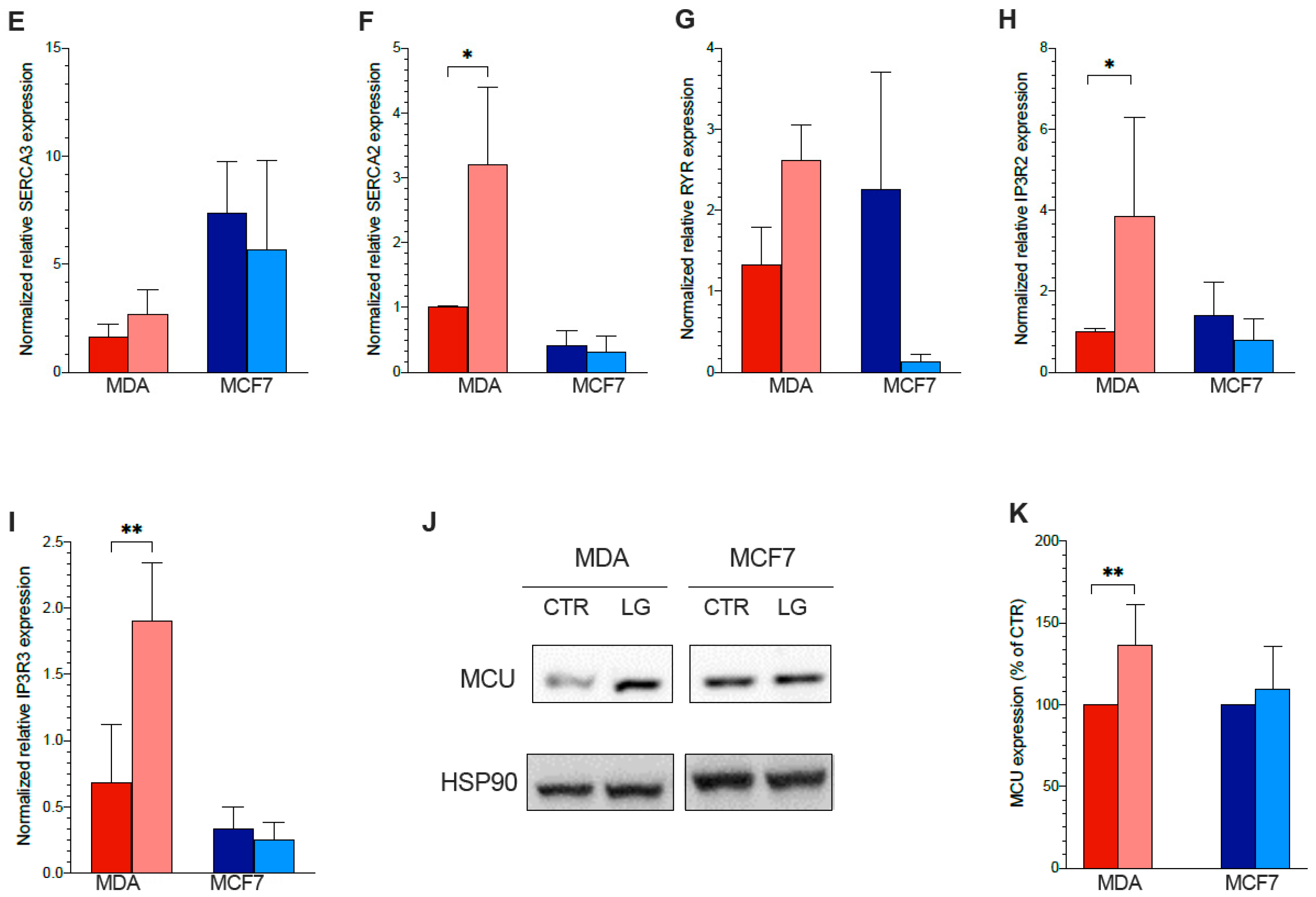 Antioxidants 12 00043 g005b