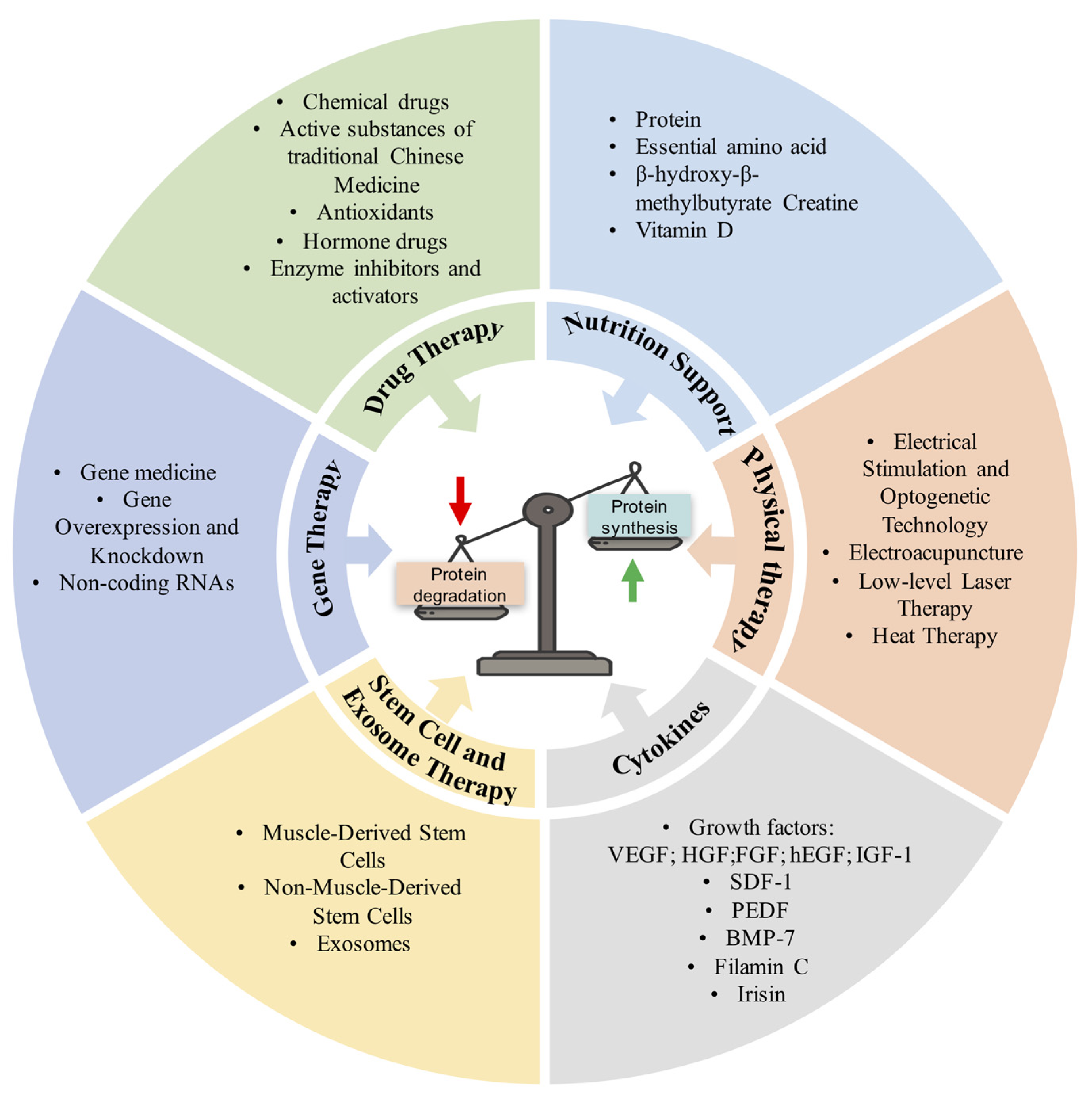 Antioxidants 12 00044 g003