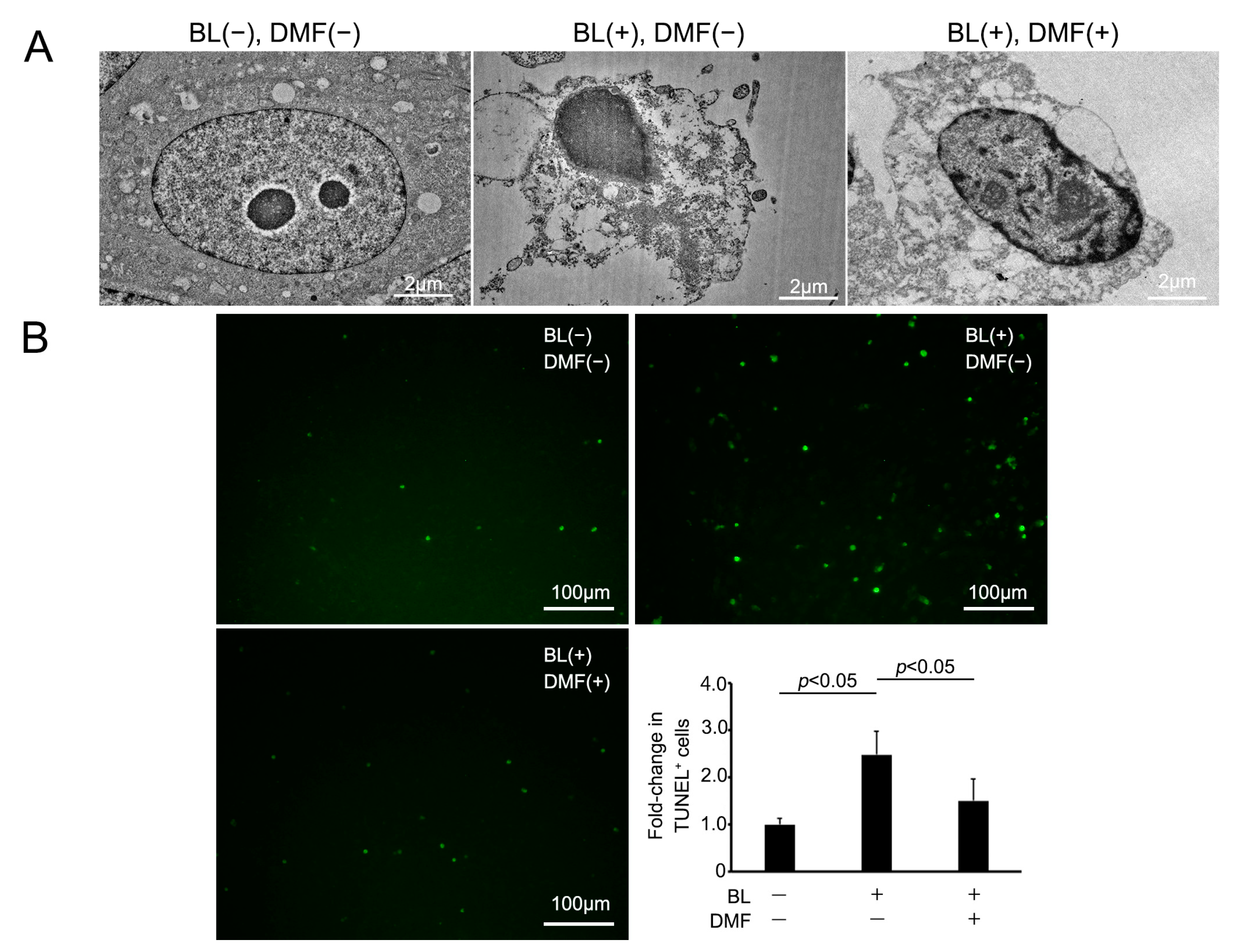Antioxidants 12 00045 g003