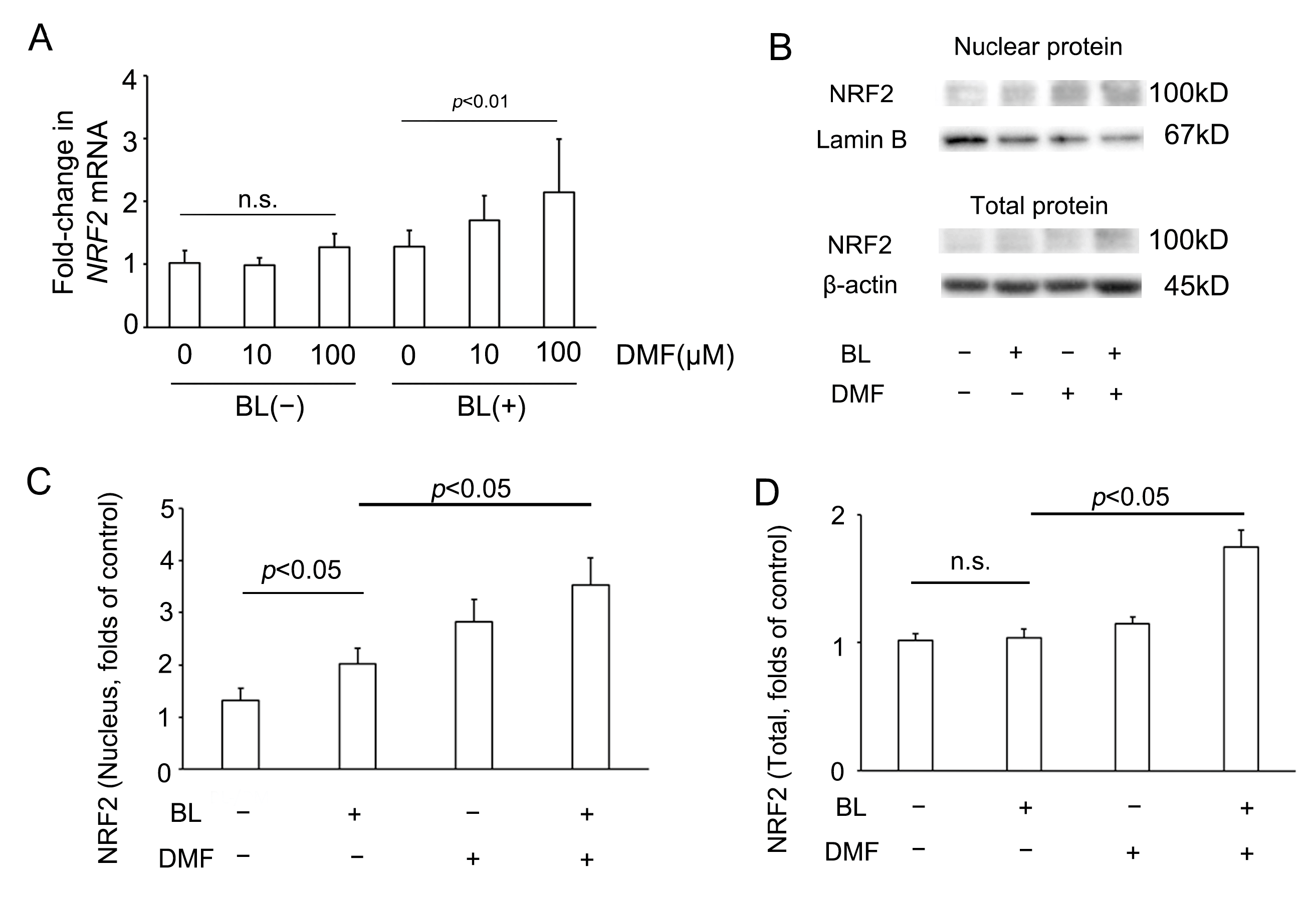 Antioxidants 12 00045 g004