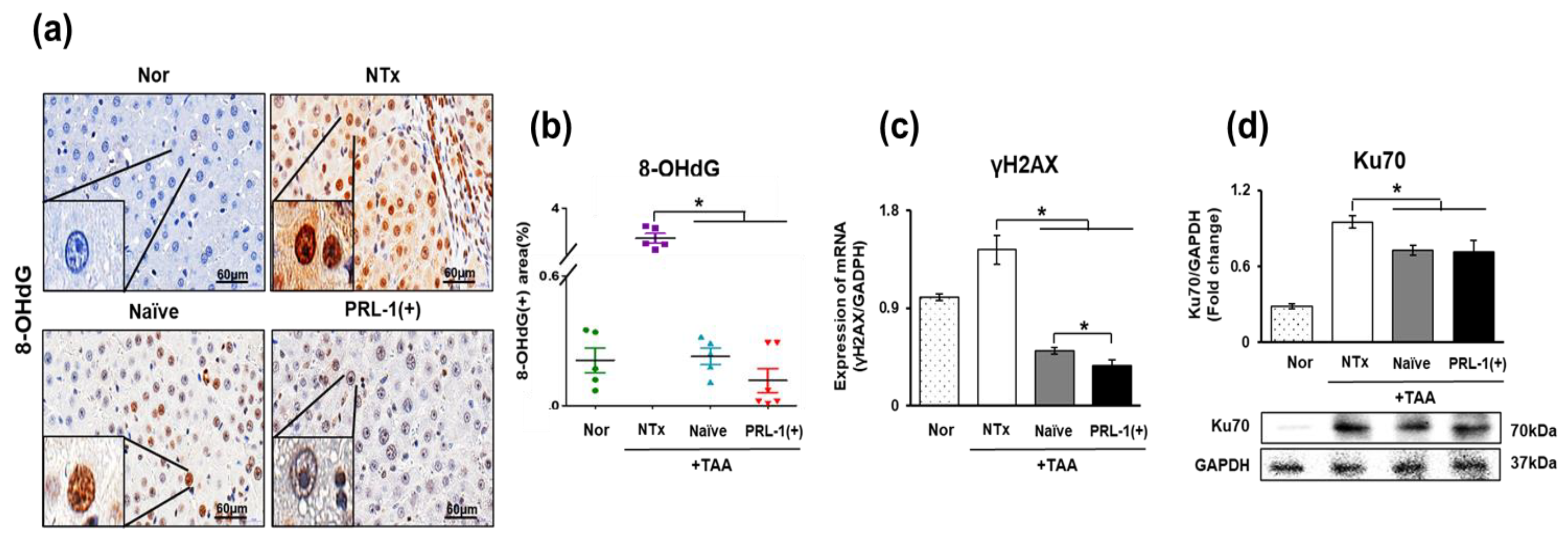 Antioxidants 12 00046 g002
