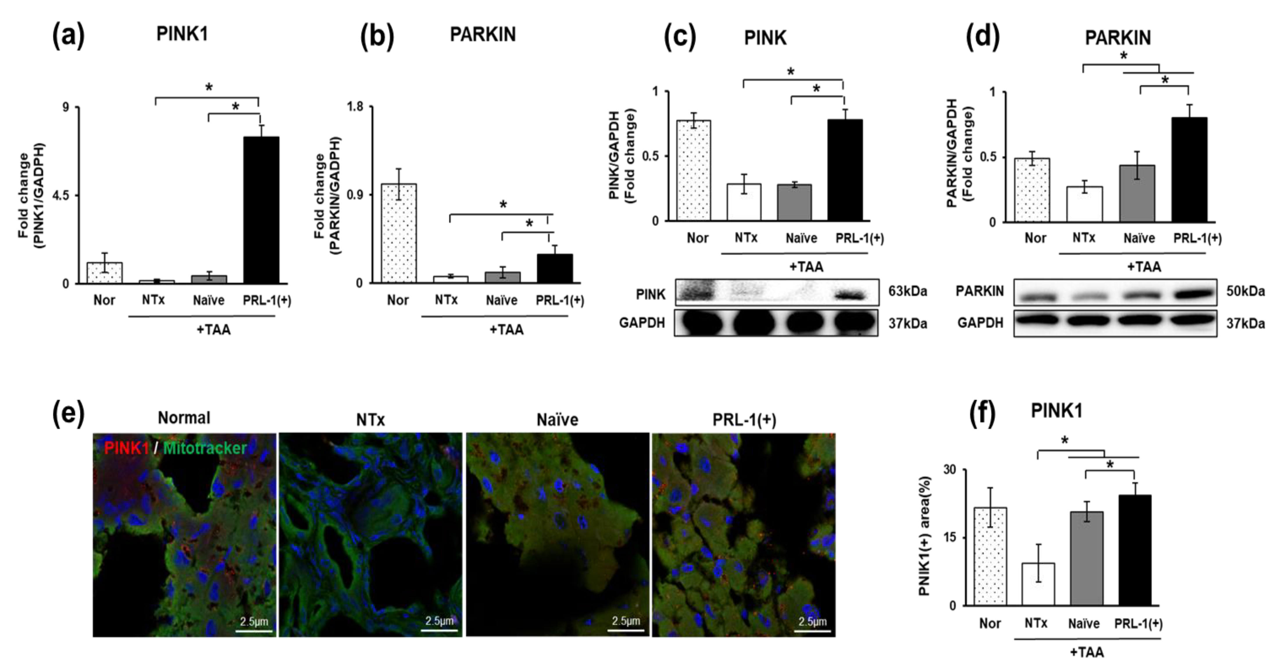 Antioxidants 12 00046 g005