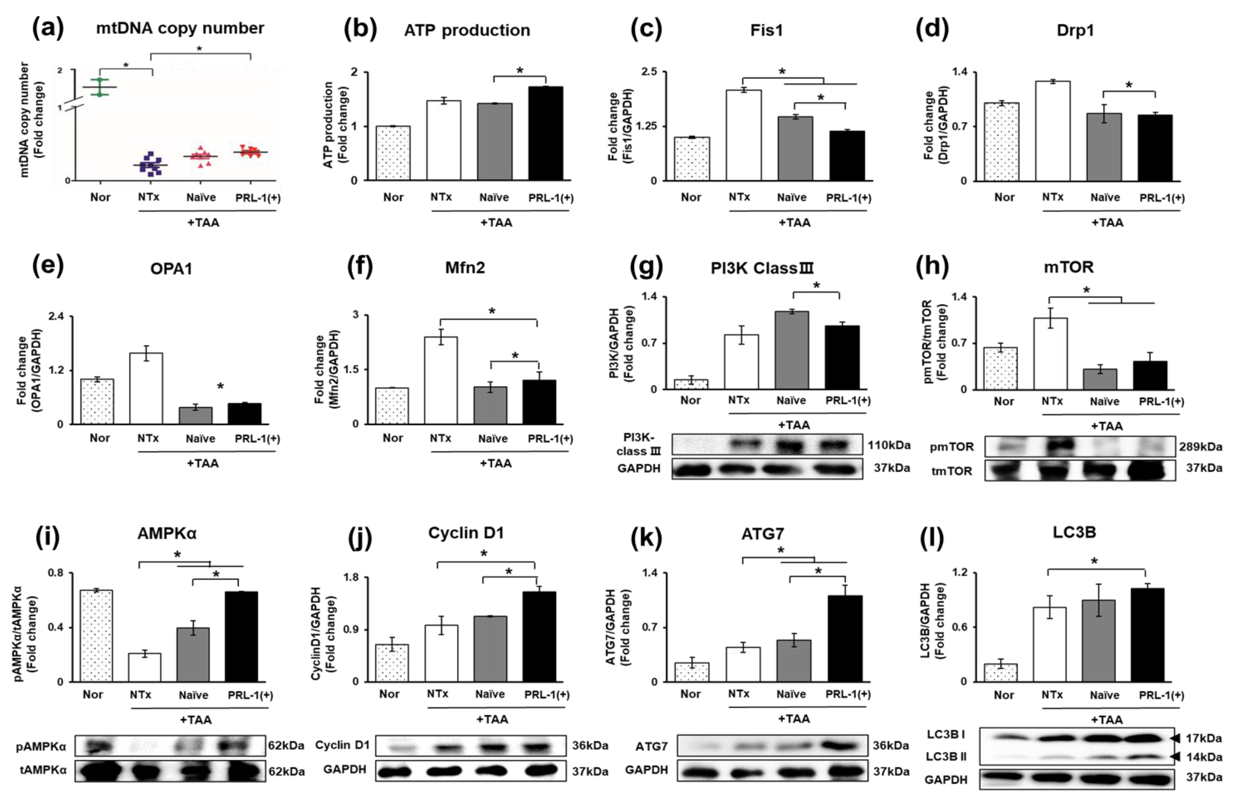 Antioxidants 12 00046 g006
