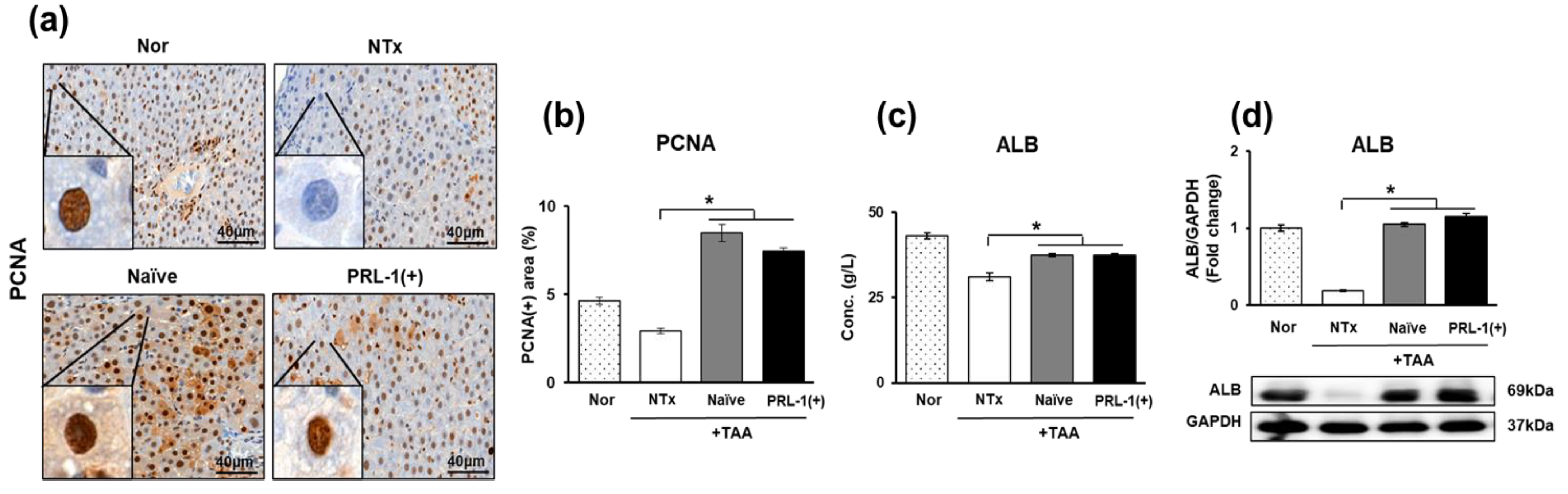 Antioxidants 12 00046 g008