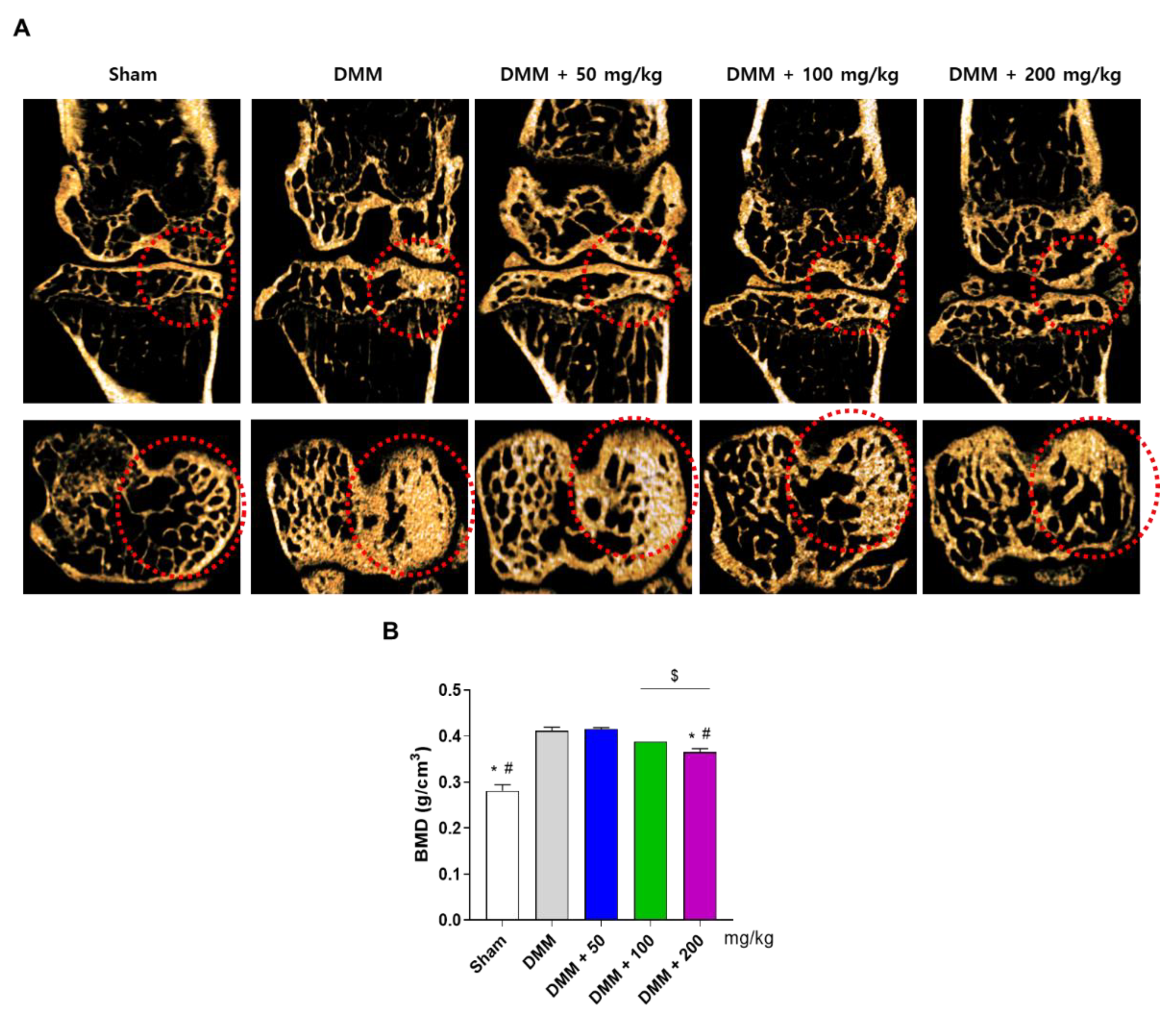 Antioxidants 12 00047 g005