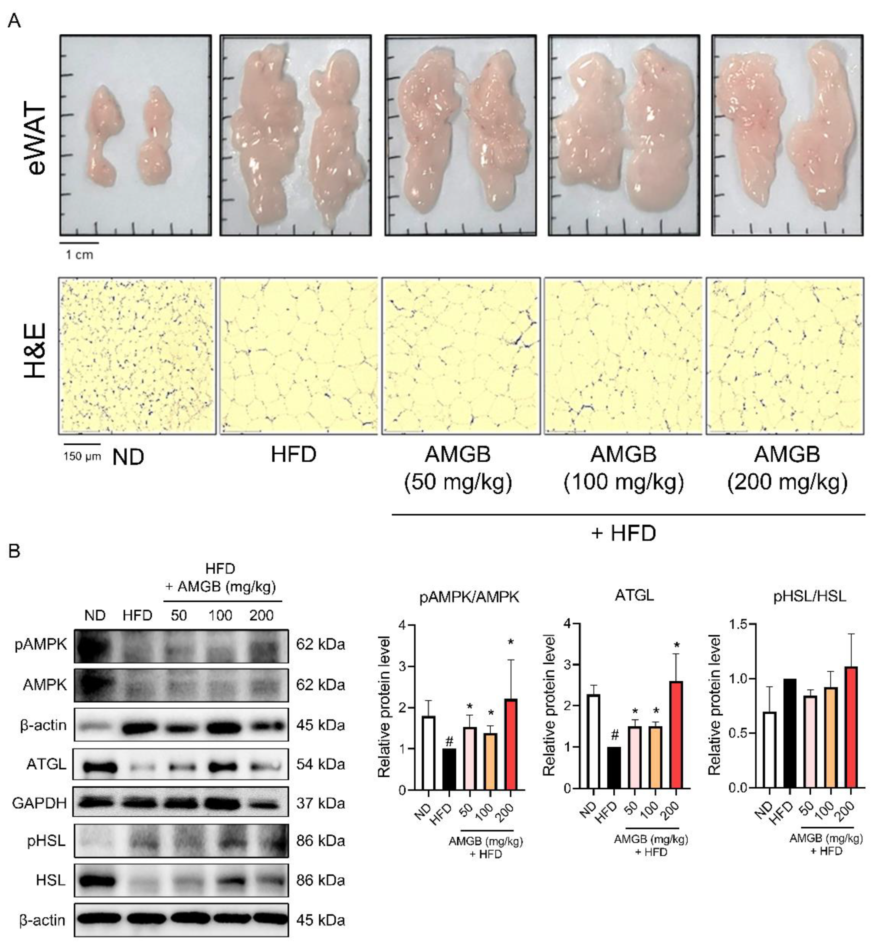 Antioxidants 12 00049 g004
