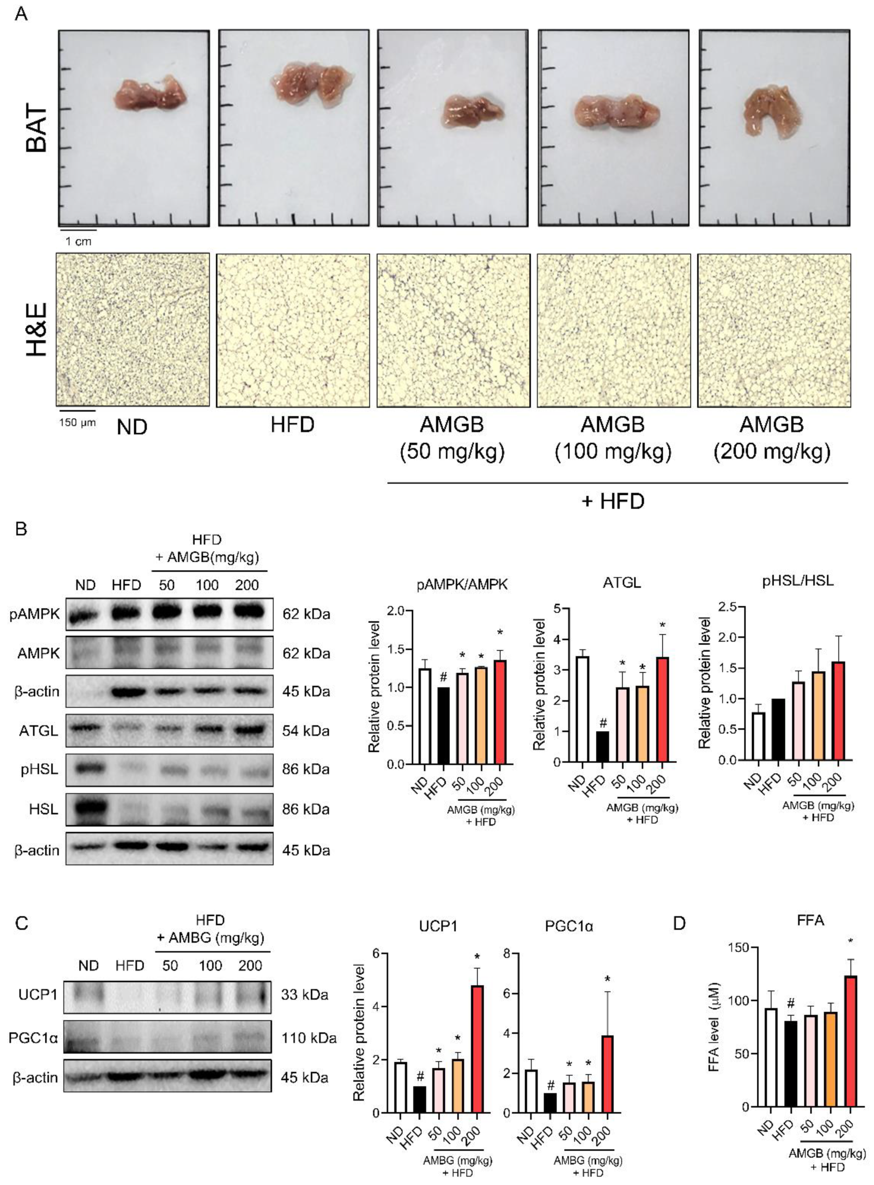 Antioxidants 12 00049 g005