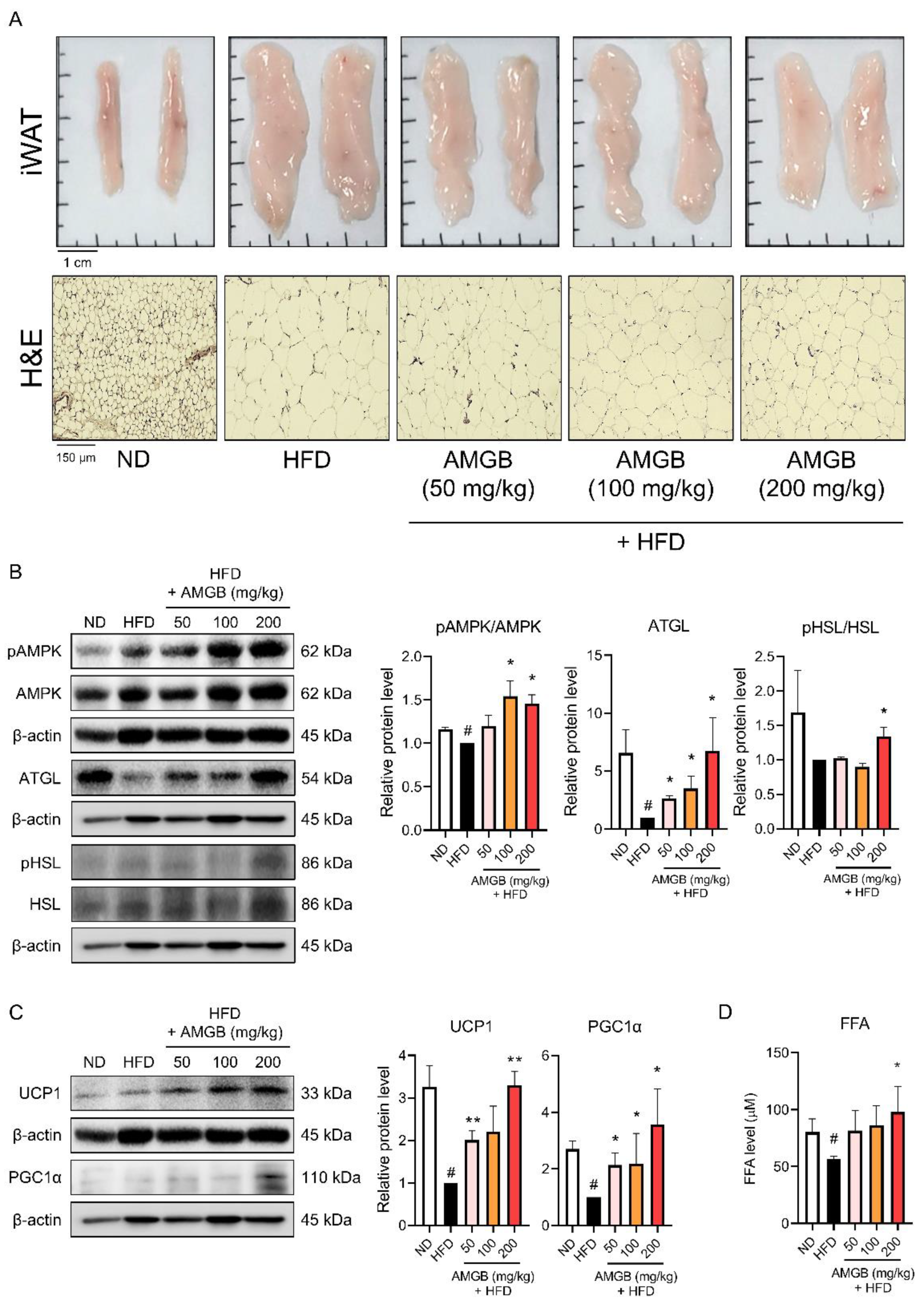 Antioxidants 12 00049 g006