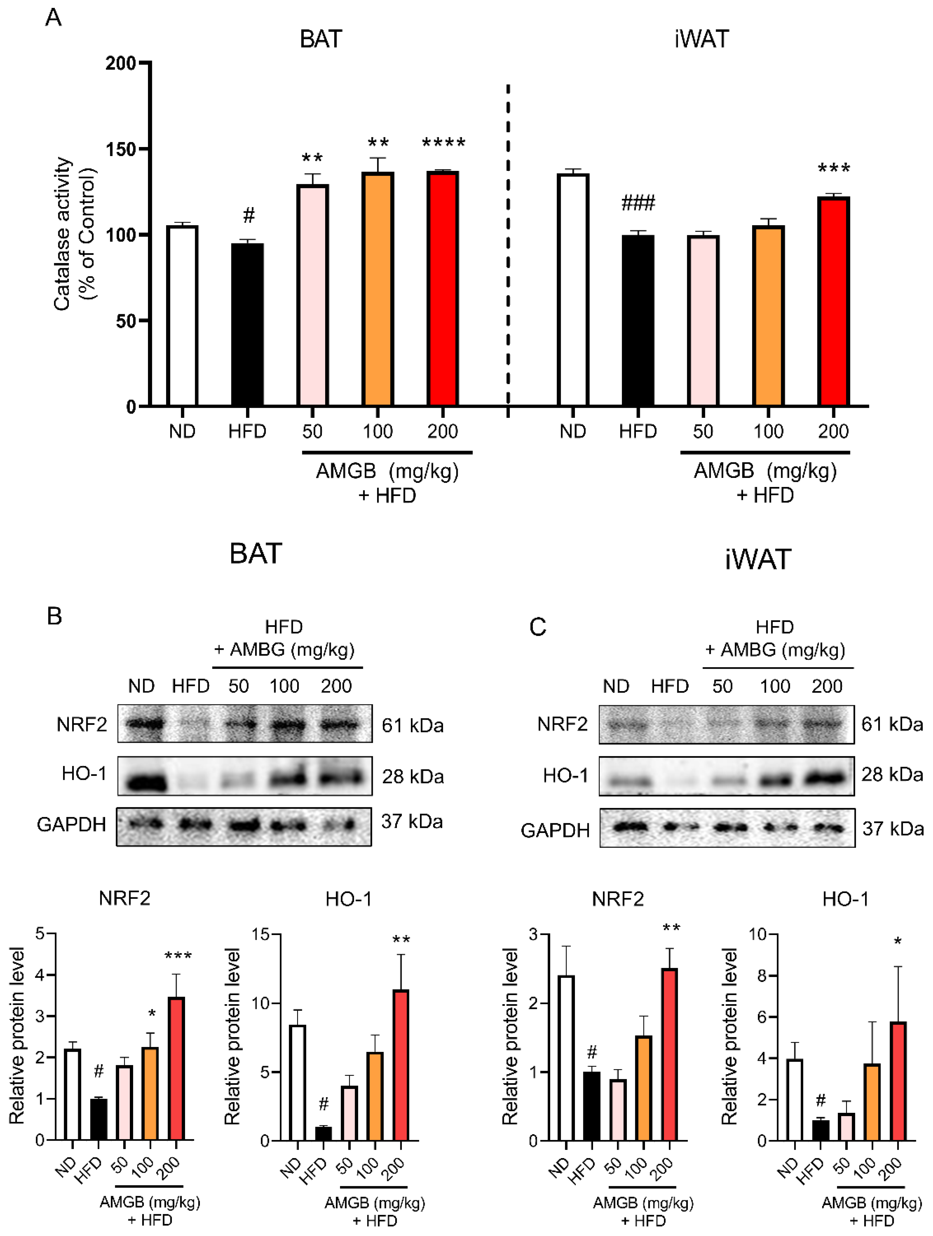 Antioxidants 12 00049 g007
