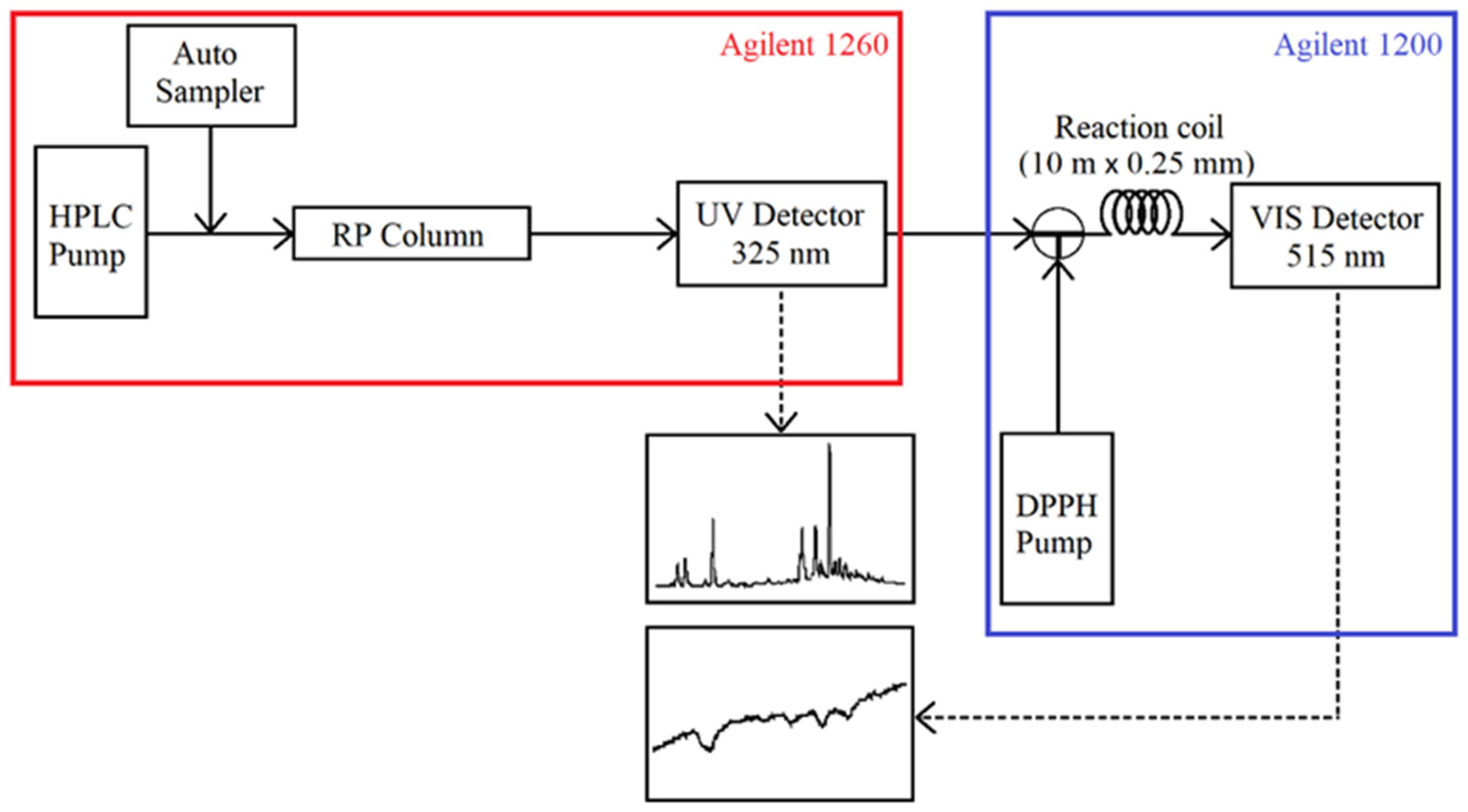 Antioxidants 12 00050 g002 Antioxidants 12 00050 g002