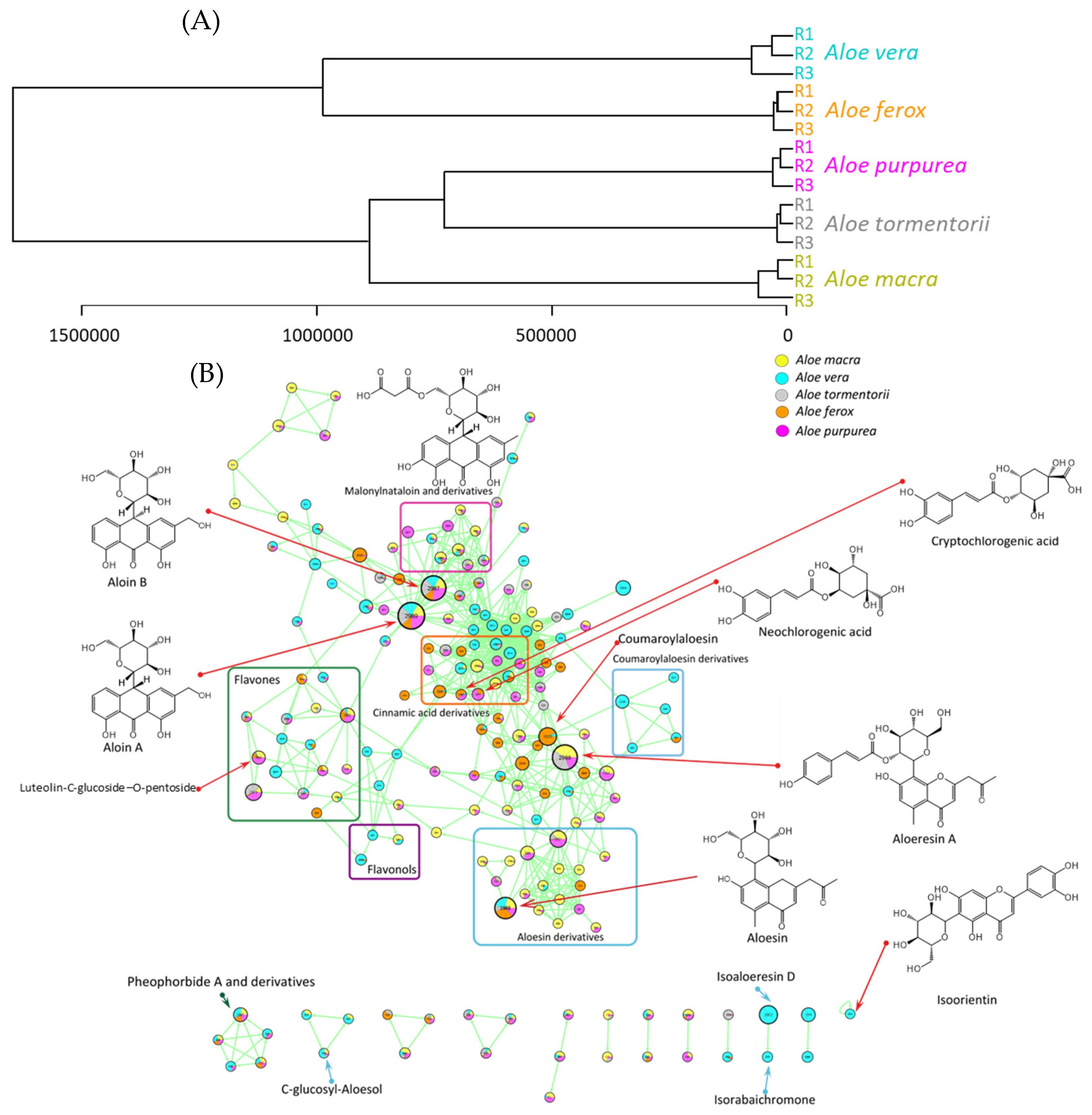 Antioxidants 12 00050 g003 Antioxidants 12 00050 g003