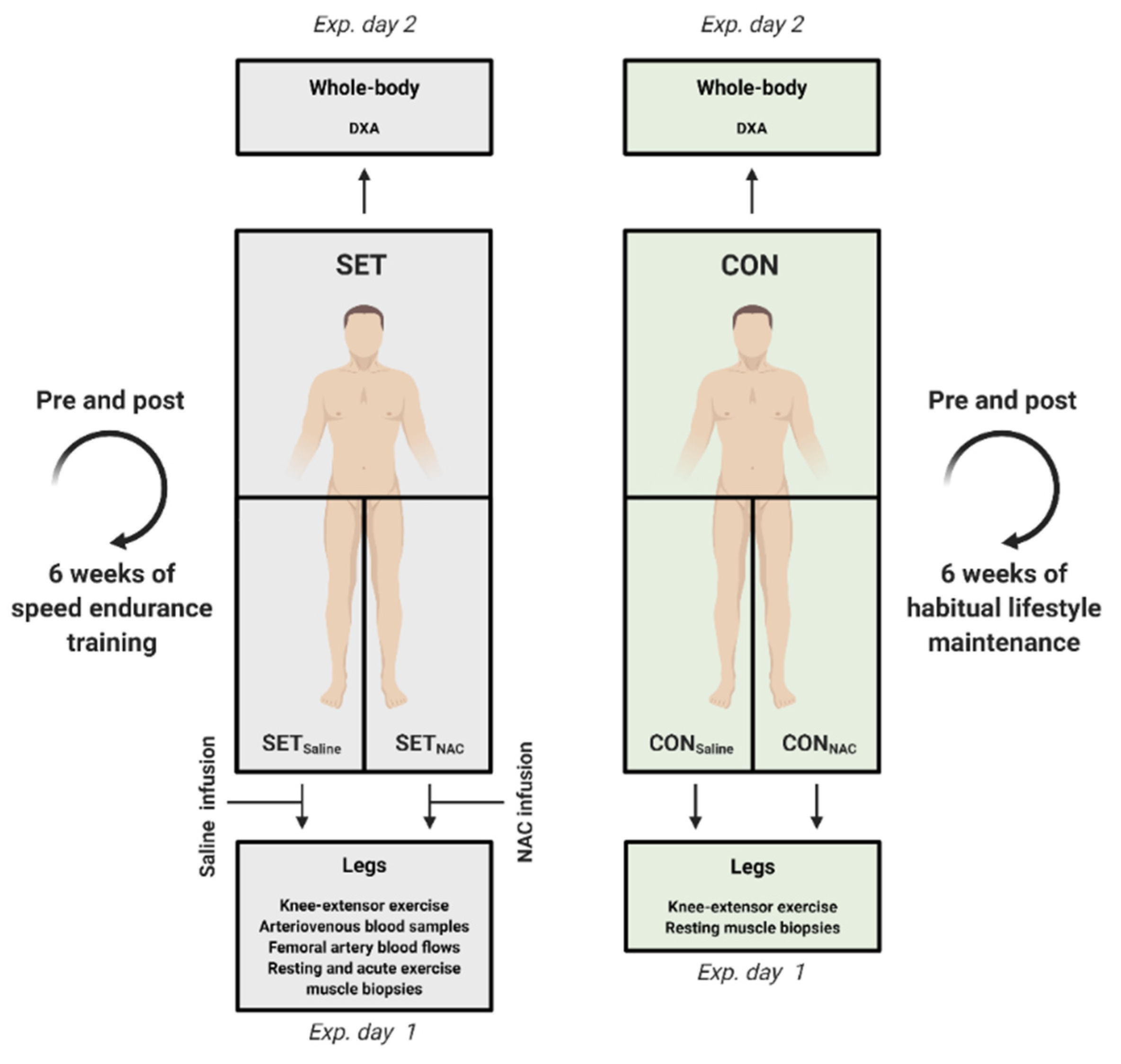 Antioxidants 12 00053 g001