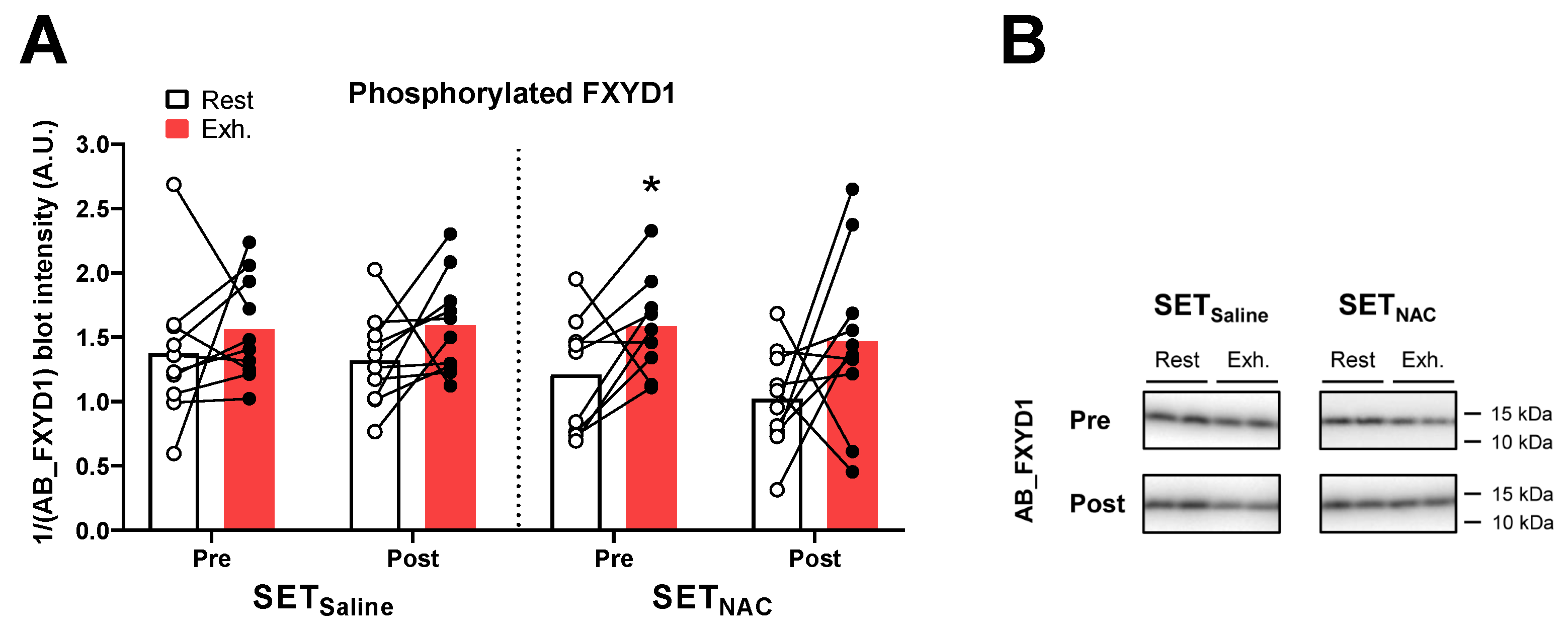 Antioxidants 12 00053 g011