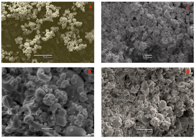 Antioxidants 12 00054 g002 Antioxidants 12 00054 g002