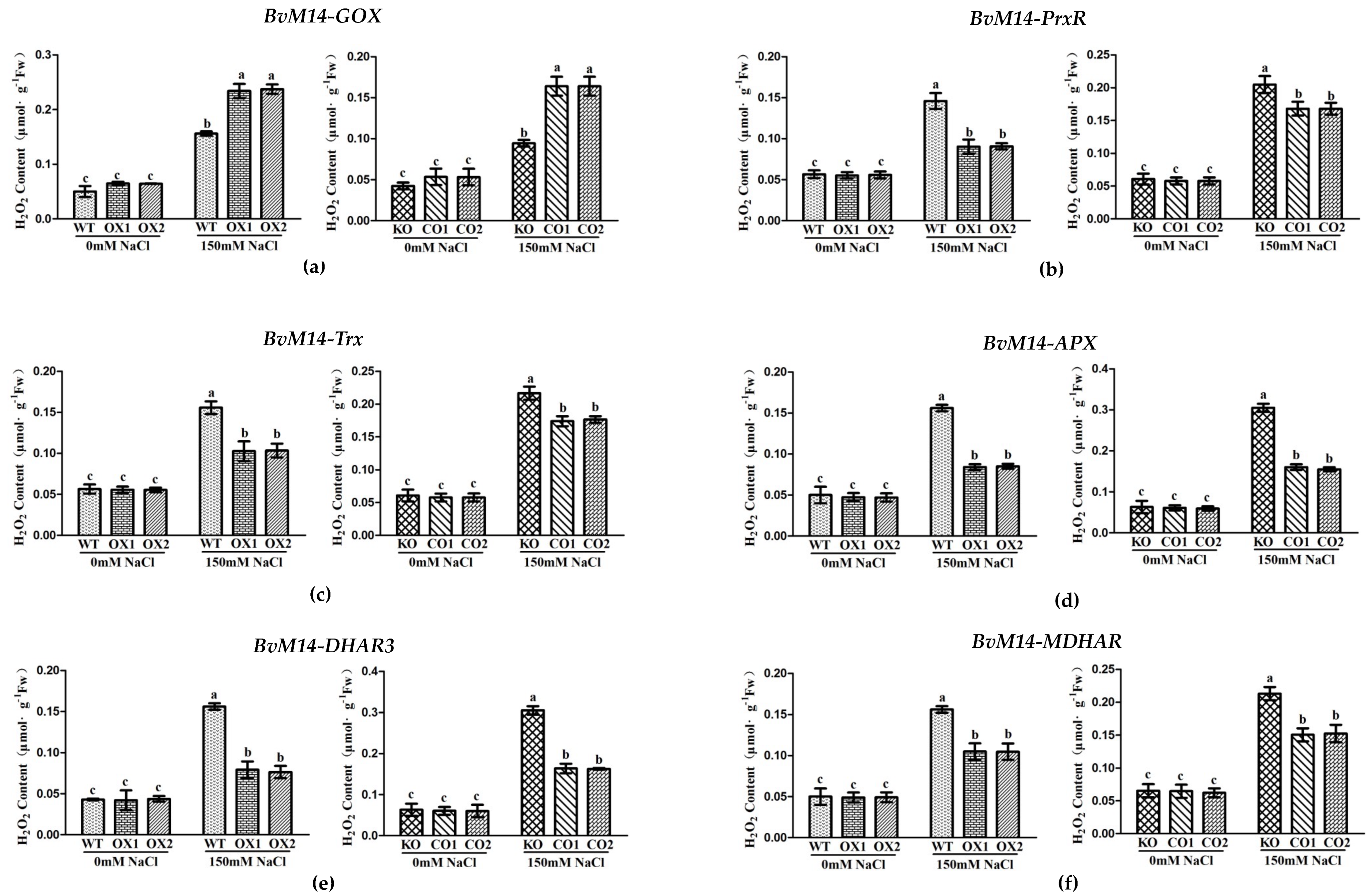 Antioxidants 12 00057 g003