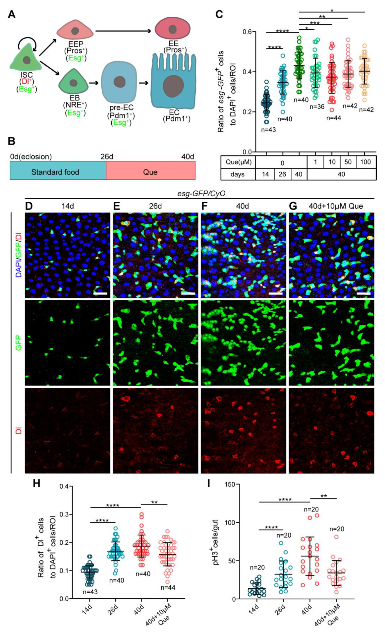 Antioxidants 12 00059 g001