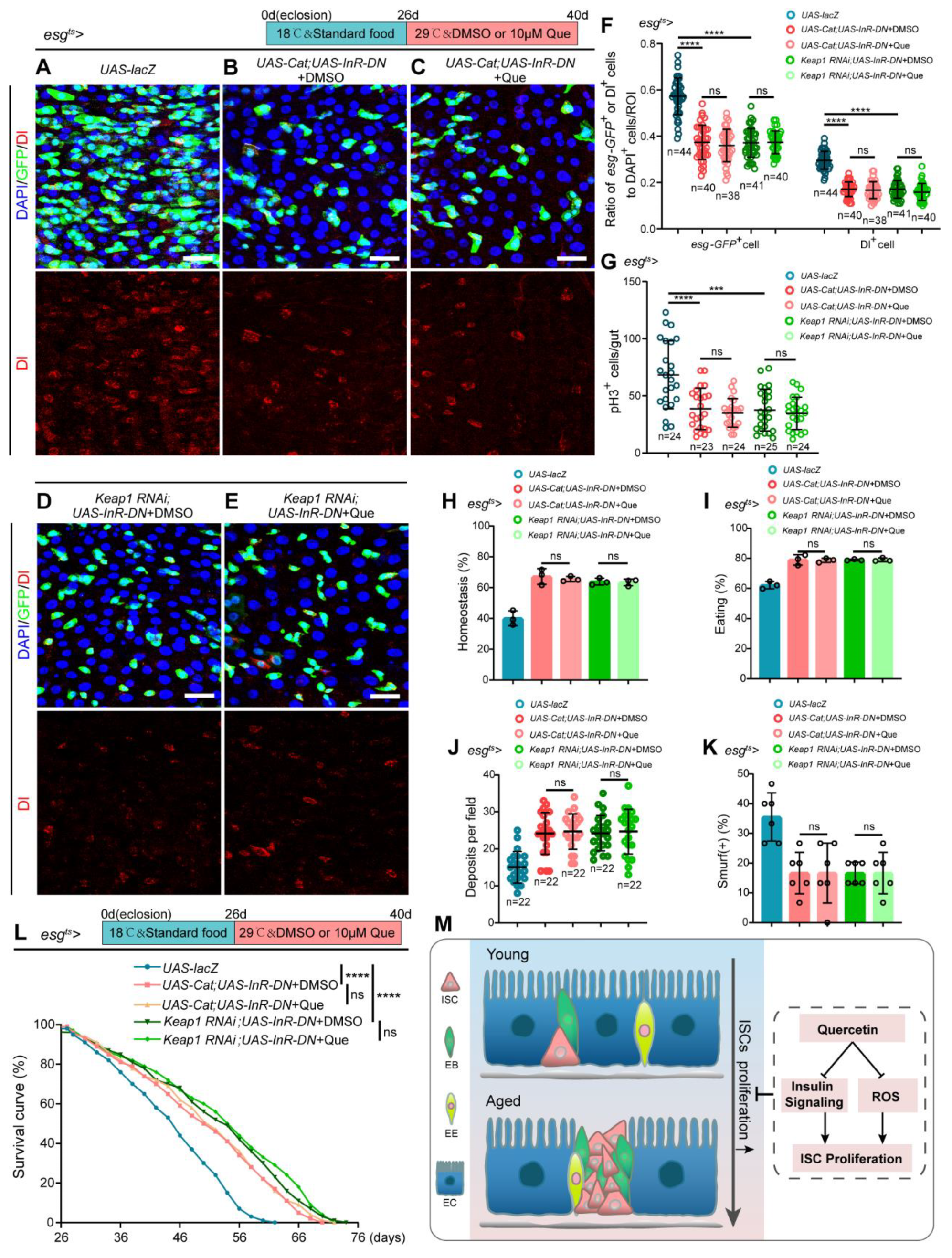 Antioxidants 12 00059 g006