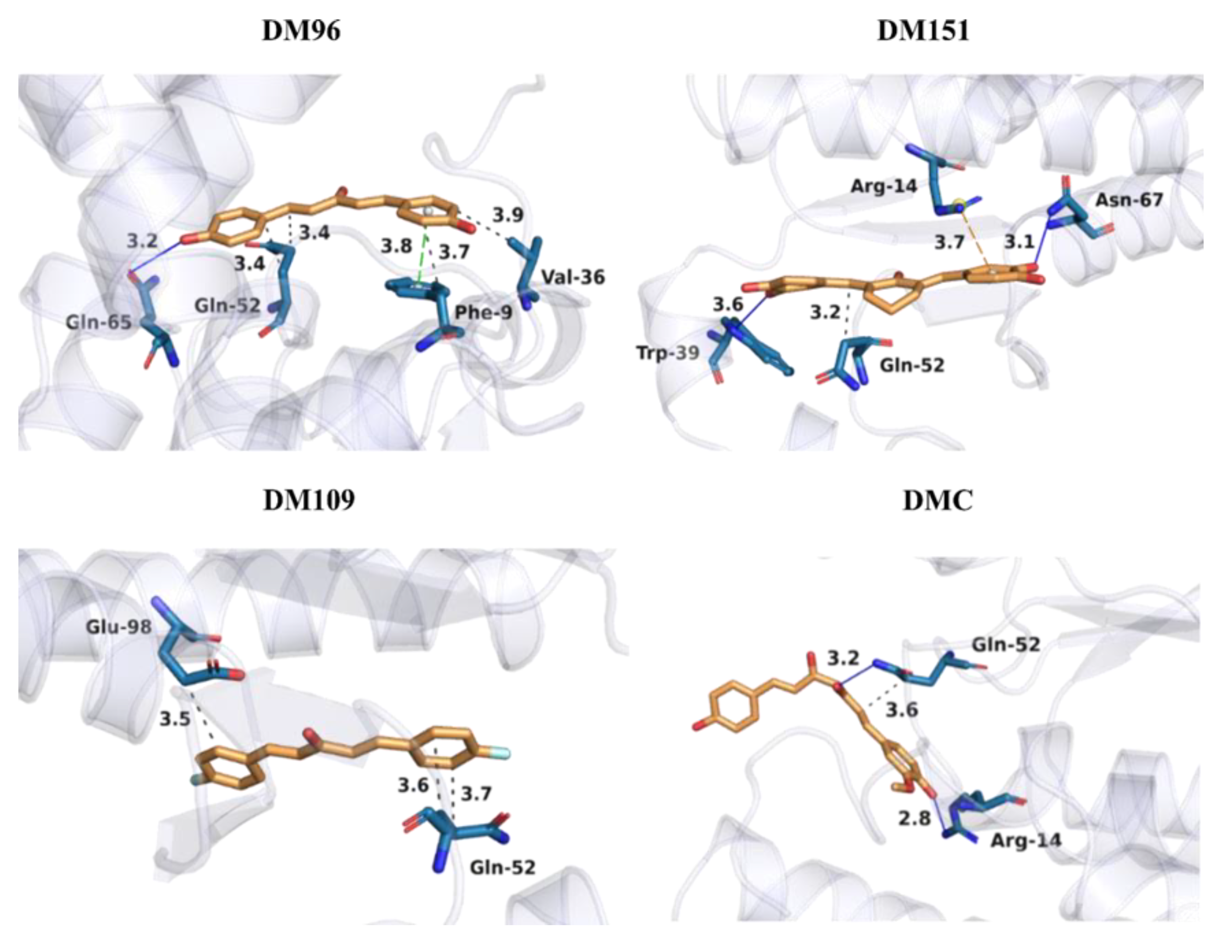 Antioxidants 12 00063 g008 Antioxidants 12 00063 g008