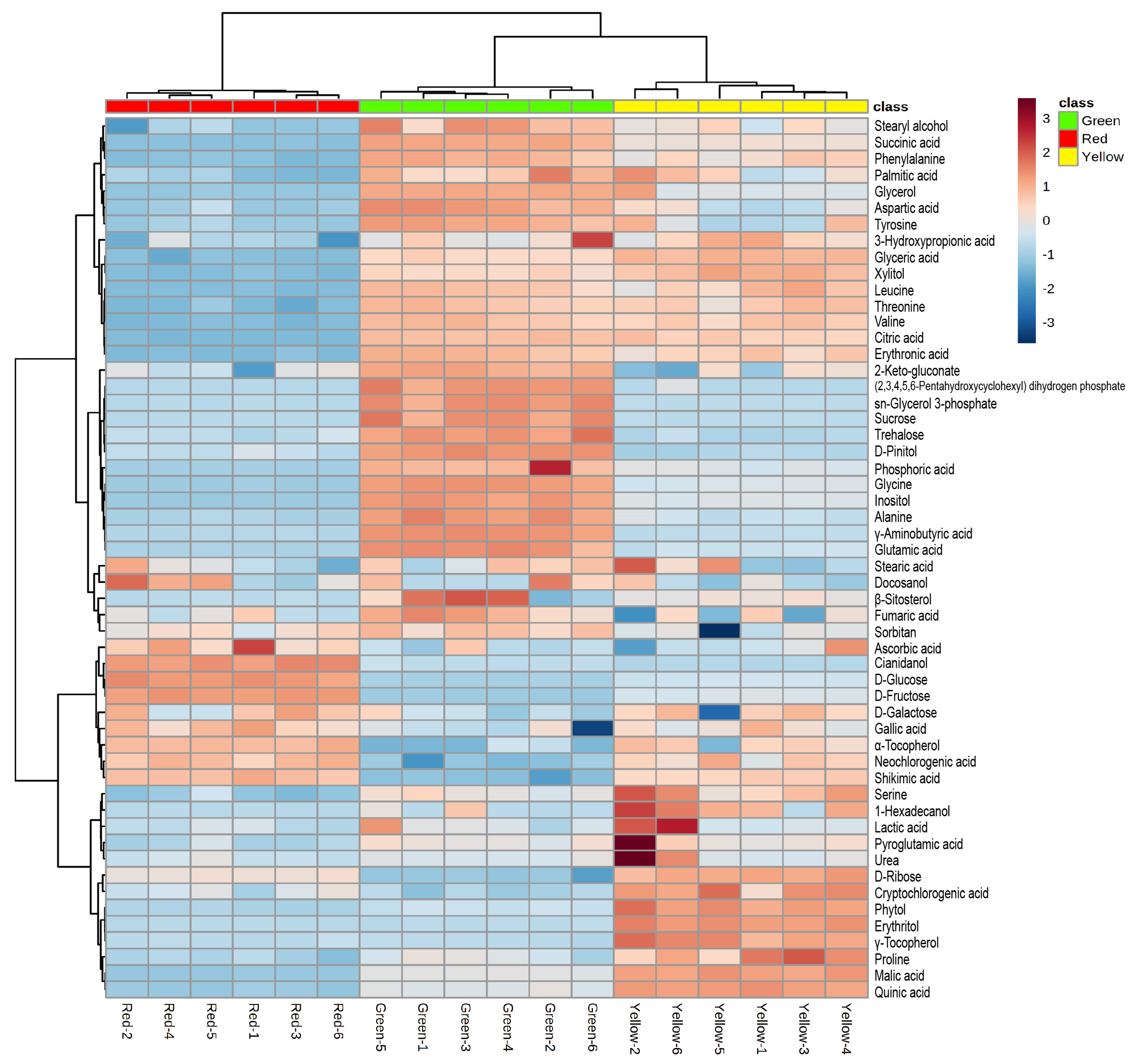 Antioxidants 12 00065 g005