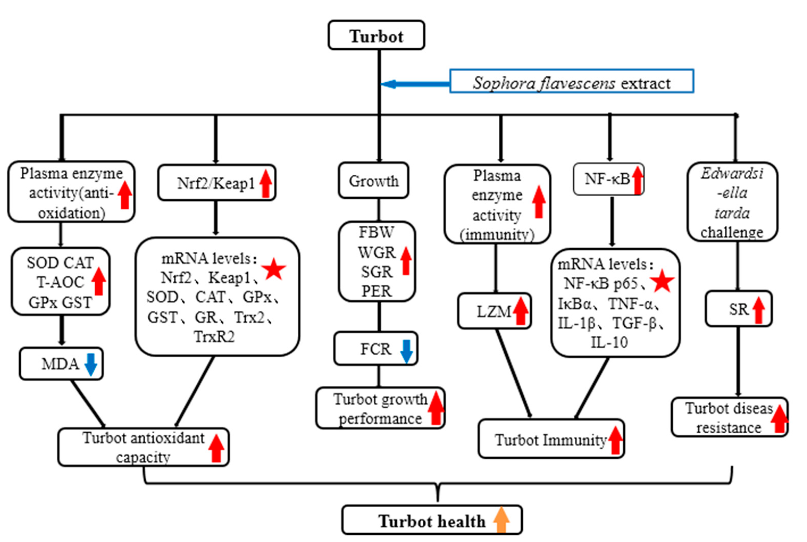 Antioxidants 12 00069 g005
