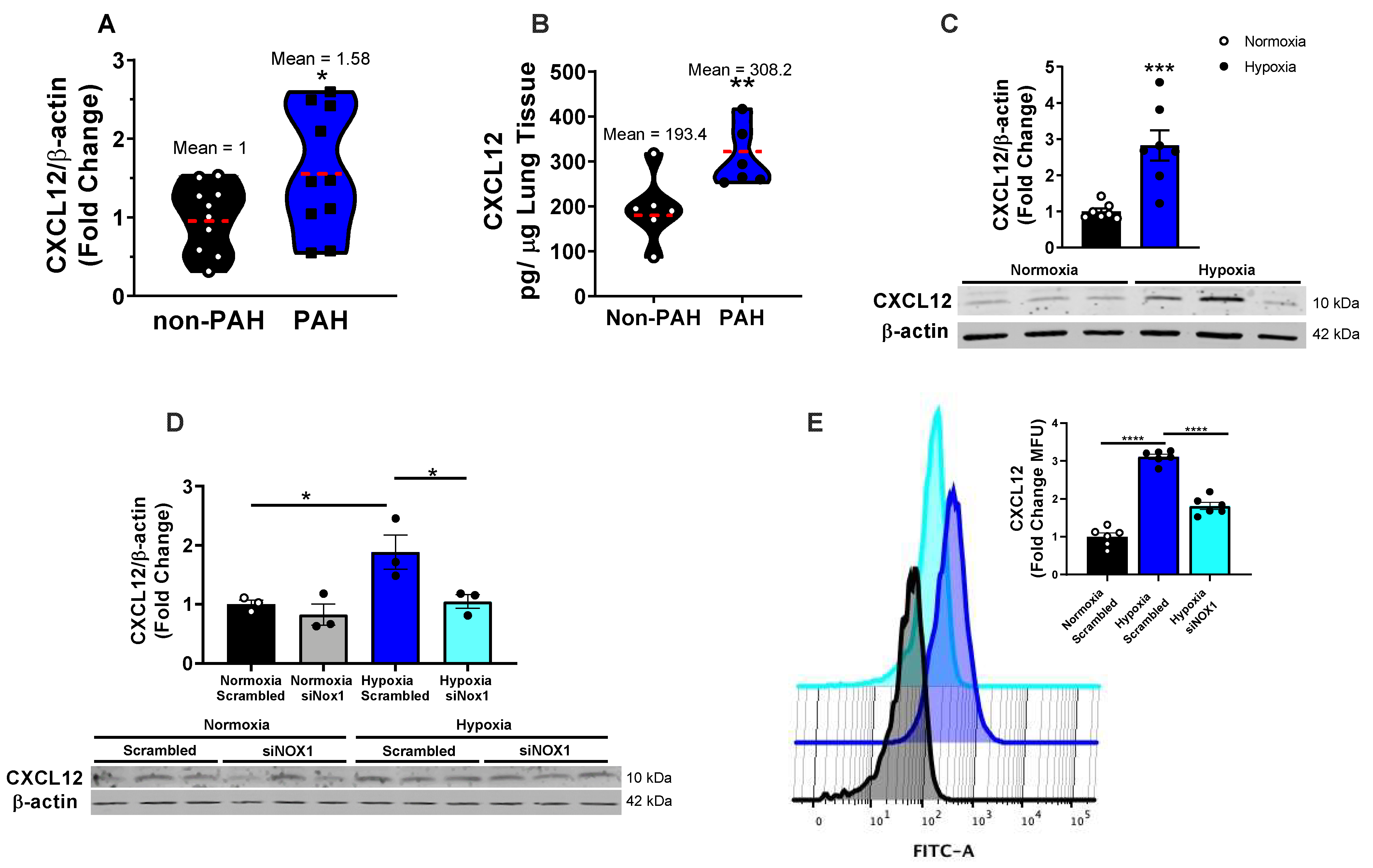 Antioxidants 12 00071 g001