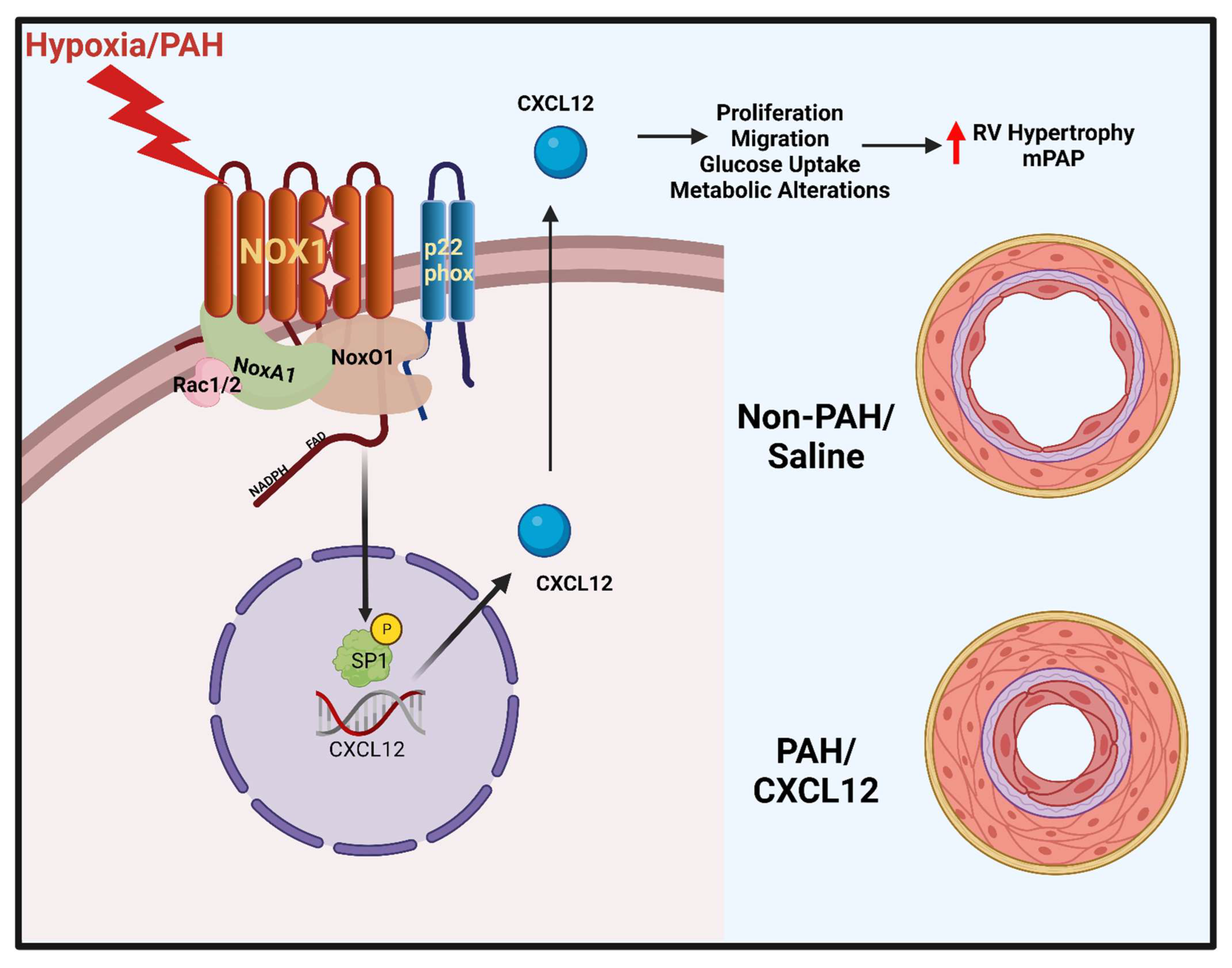 Antioxidants 12 00071 g006