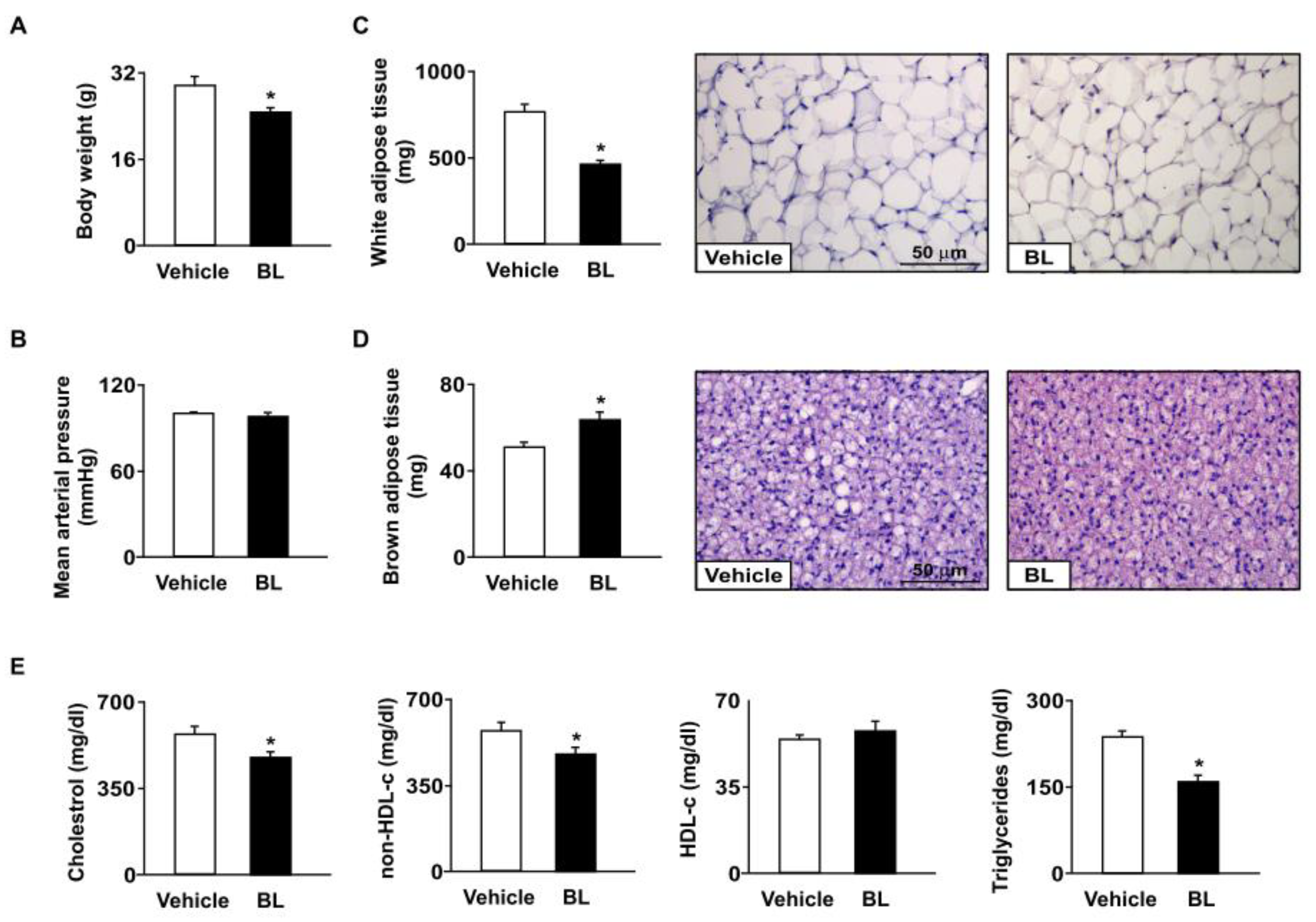 Antioxidants 12 00072 g001