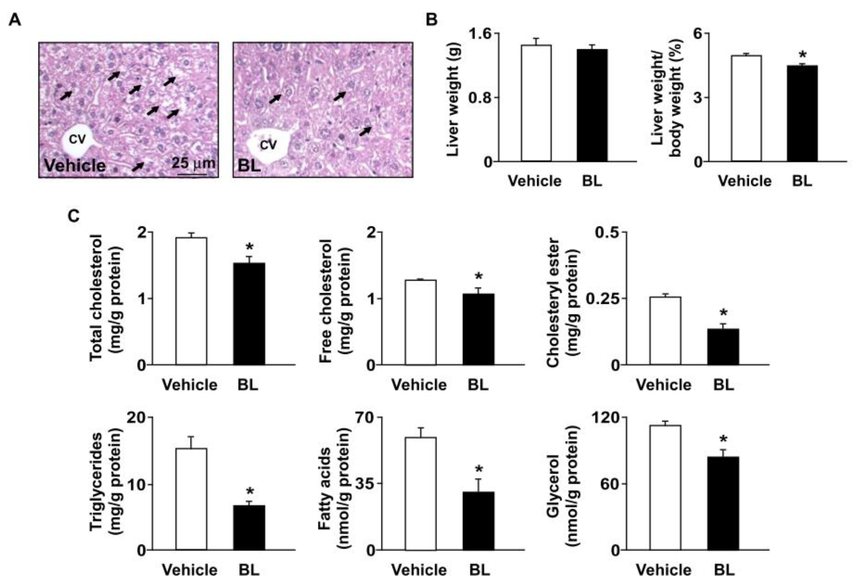 Antioxidants 12 00072 g004